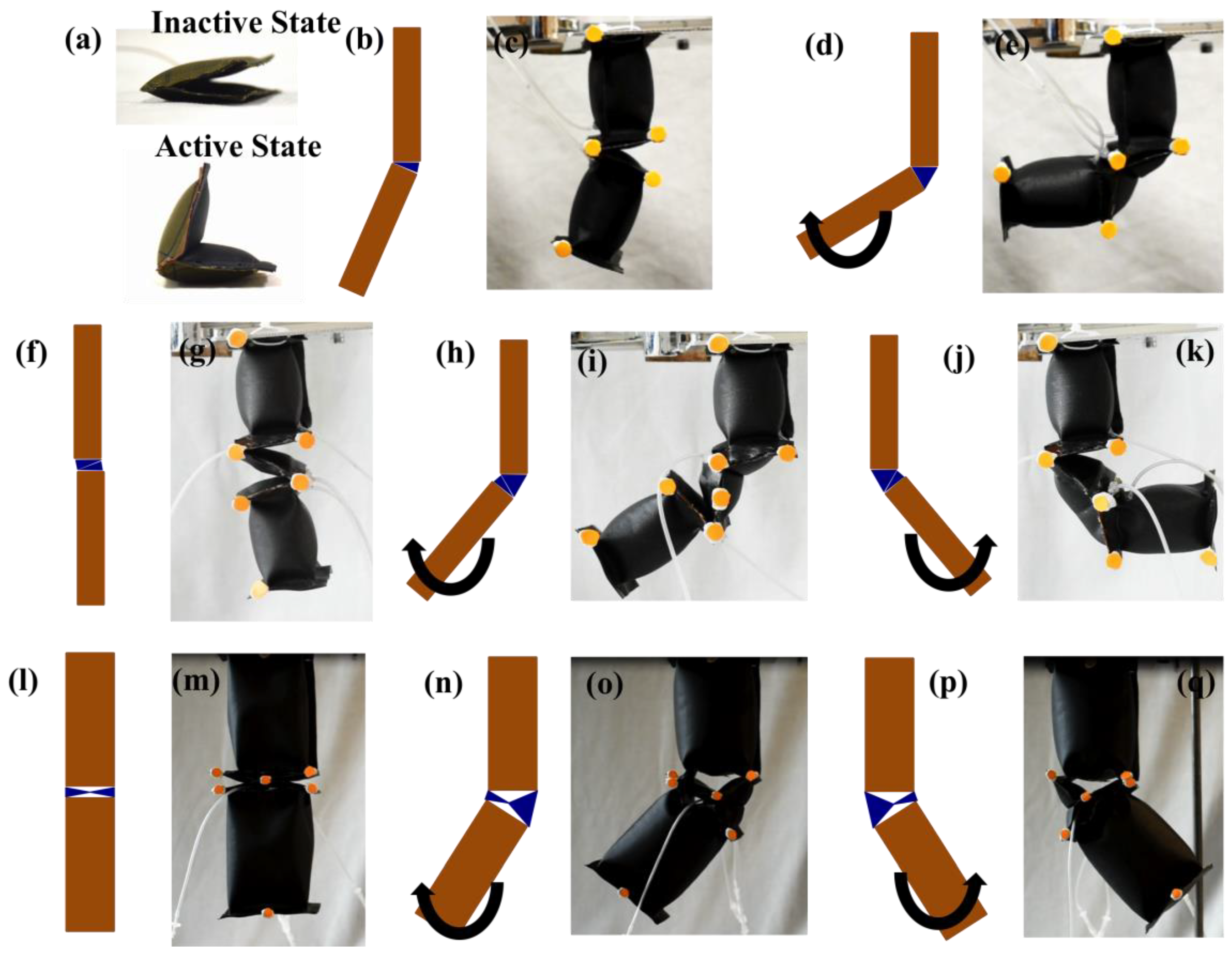 Micromachines 10 00236 g002