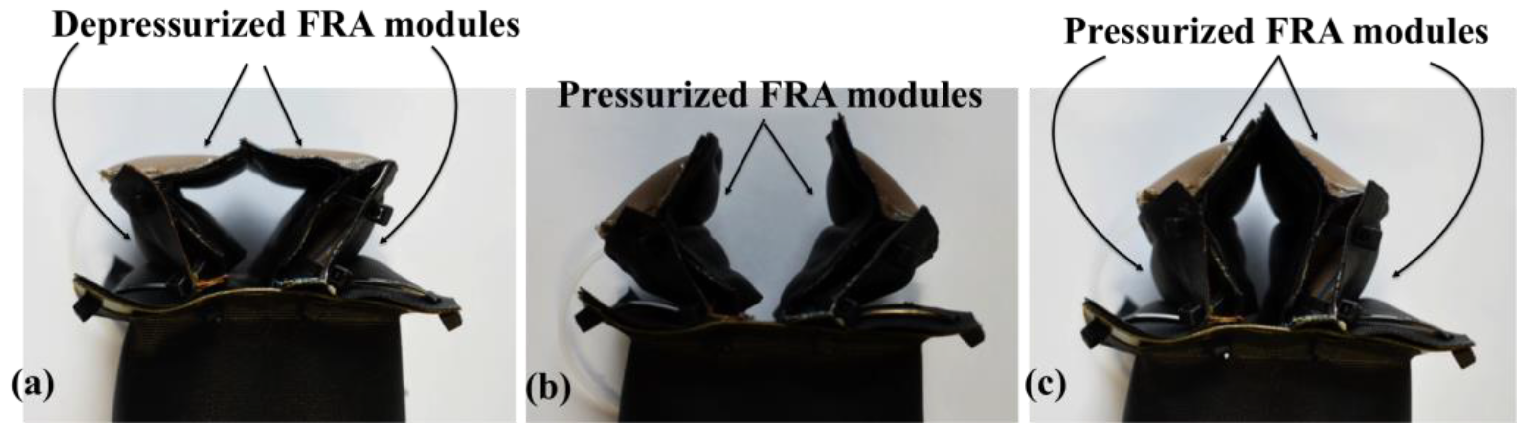 Micromachines 10 00236 g013