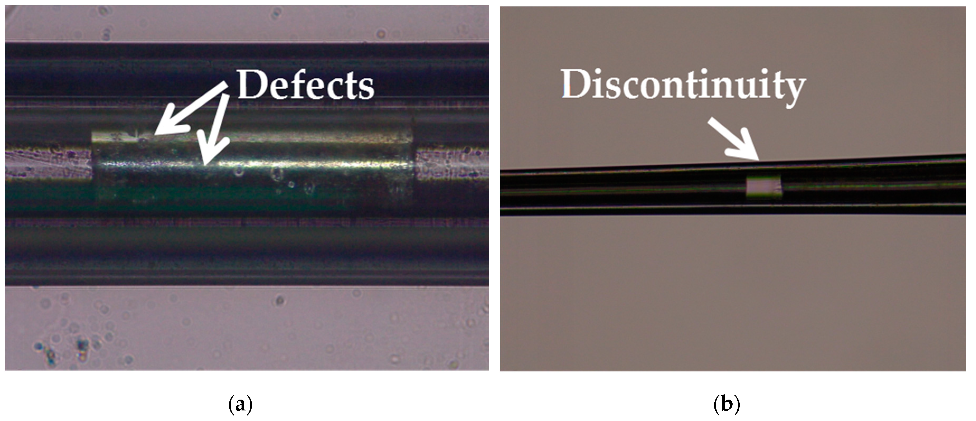 Micromachines 10 00242 g003
