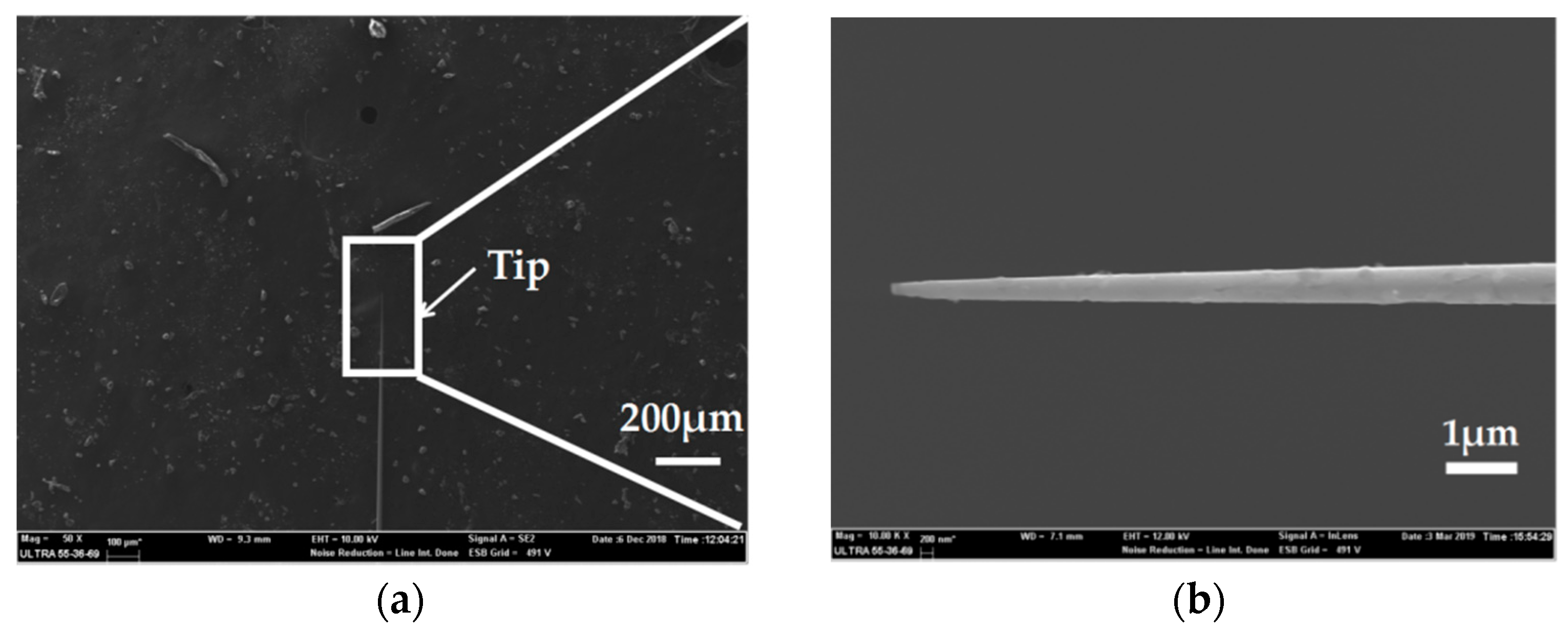 Micromachines 10 00242 g007