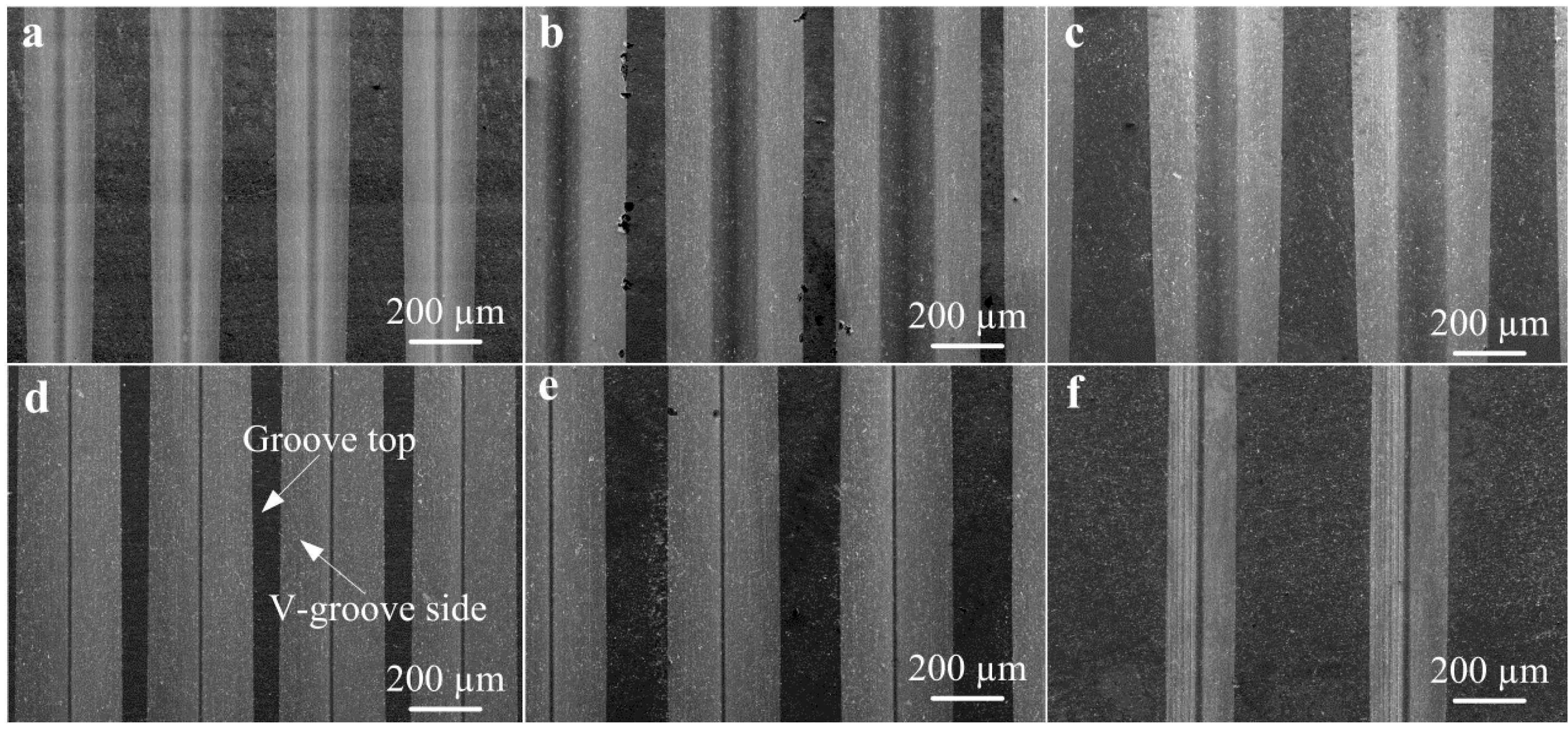 Micromachines 10 00253 g006