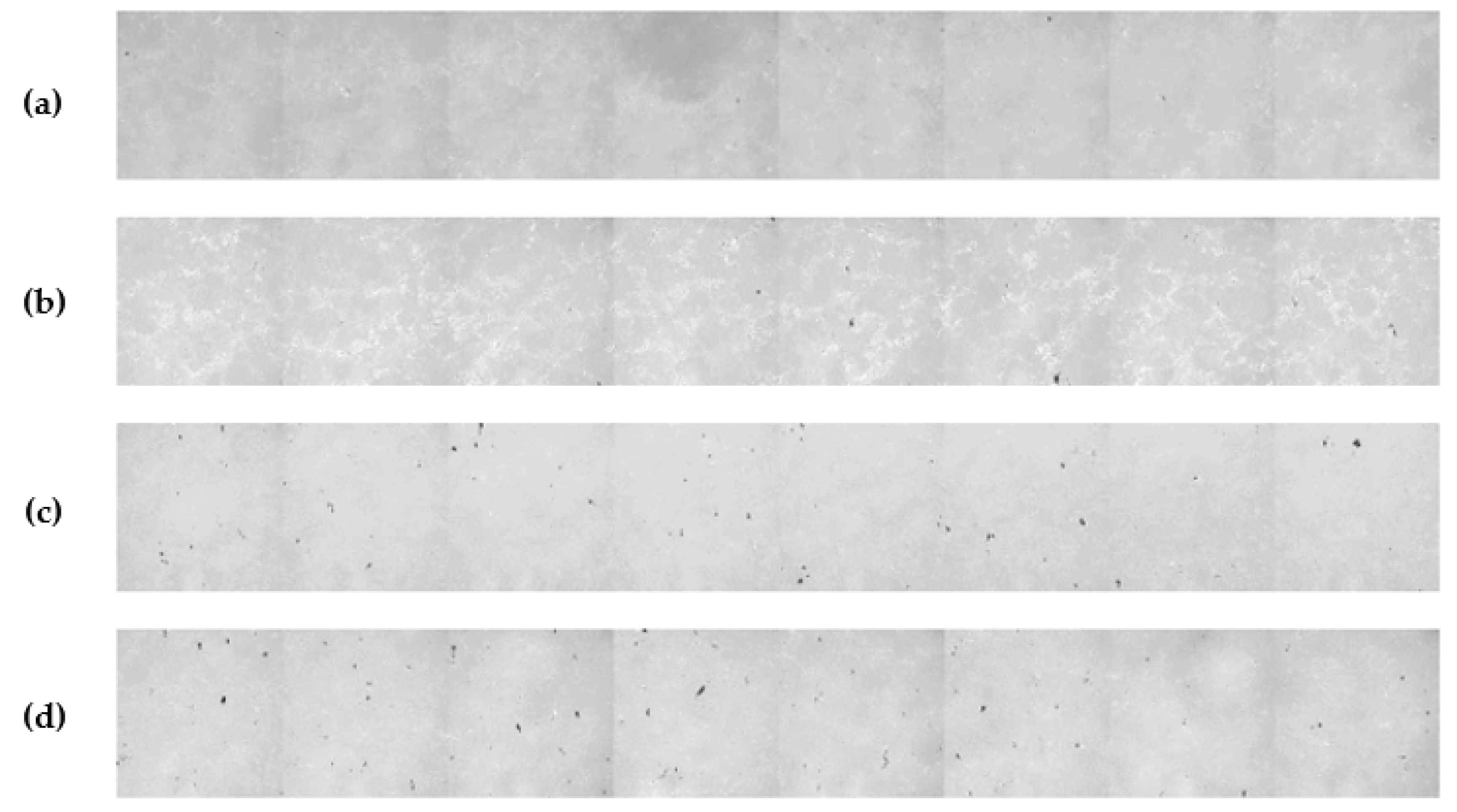 Micromachines 10 00258 g001