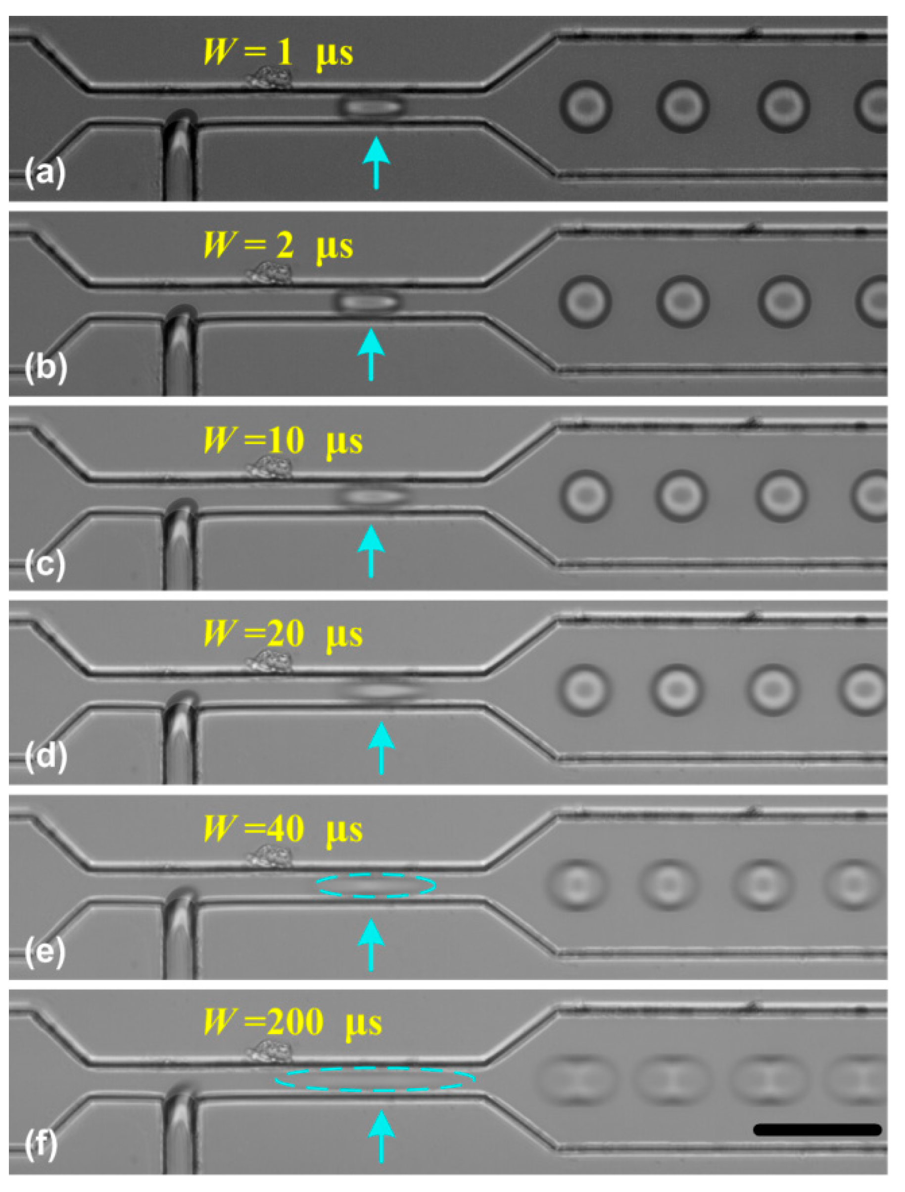 Micromachines 10 00291 g004