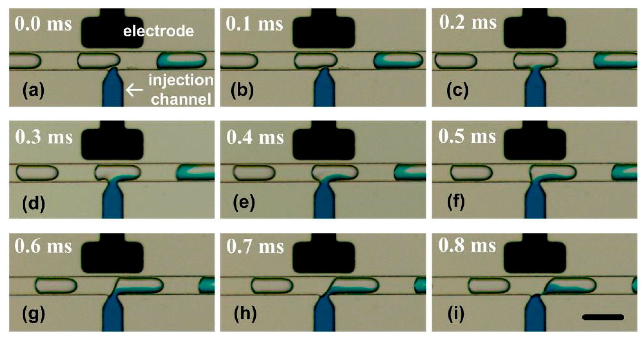 Micromachines 10 00291 g005