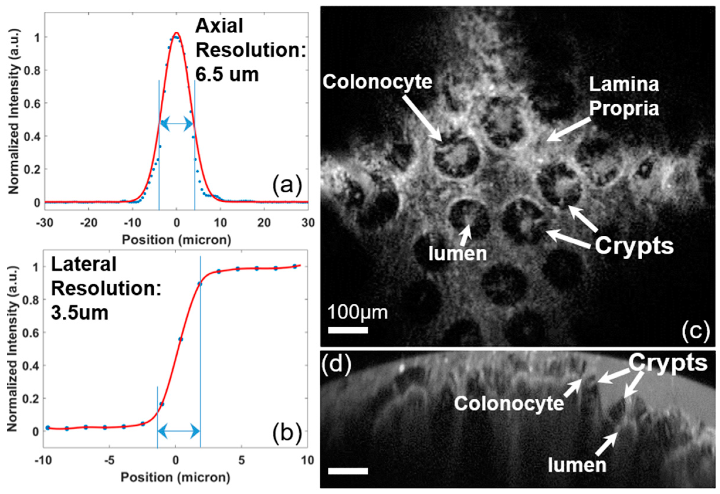 Micromachines 10 00295 g010 Micromachines 10 00295 g010