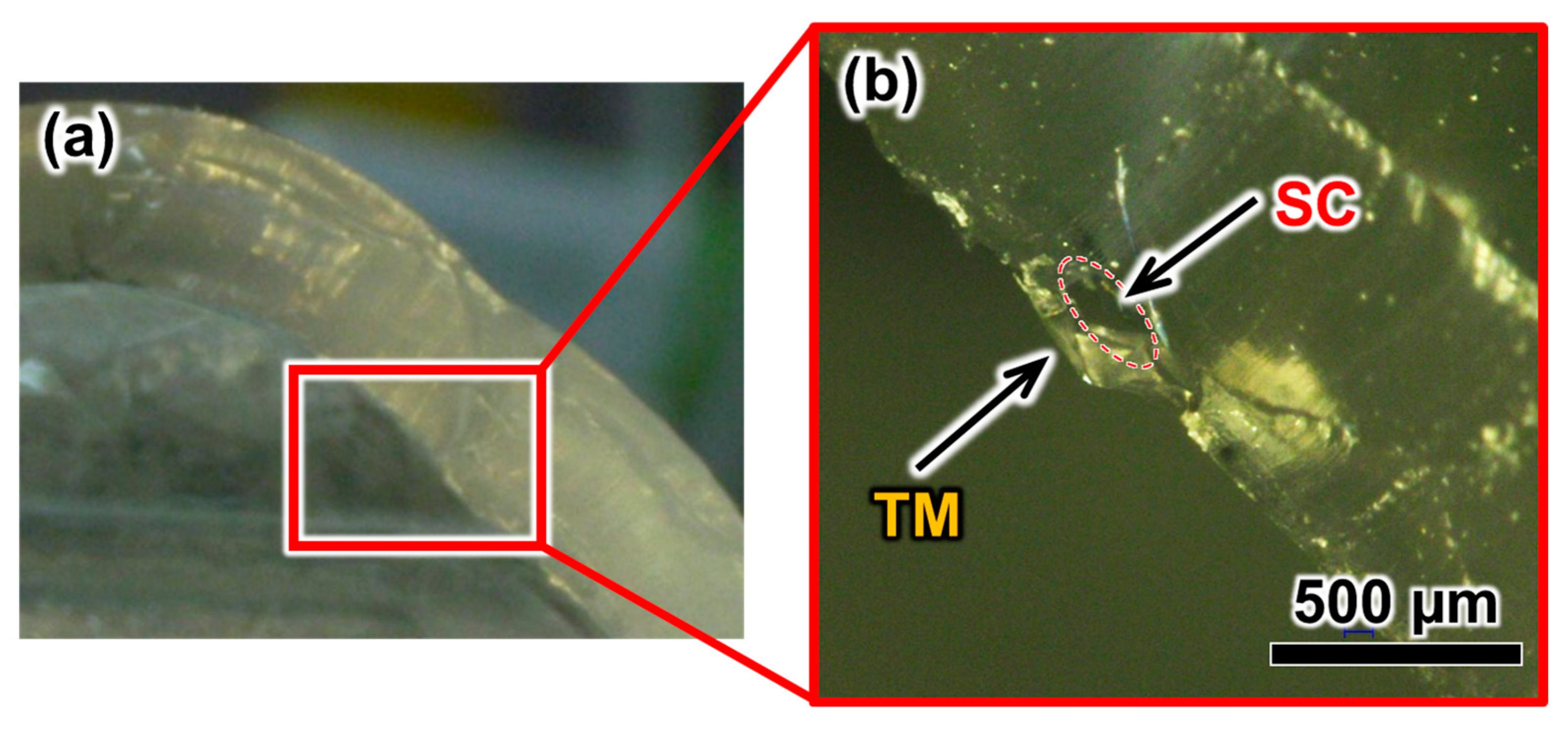 Micromachines 10 00297 g005
