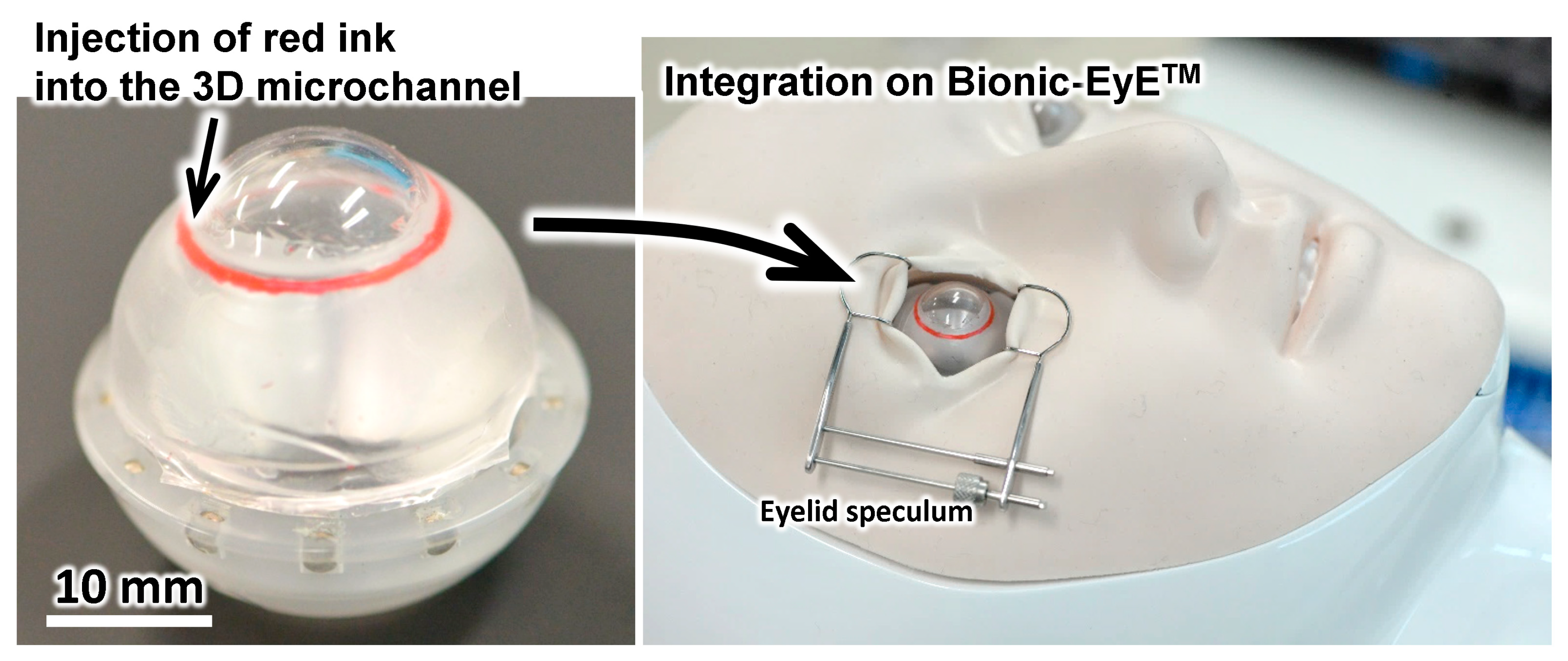 Micromachines 10 00297 g009