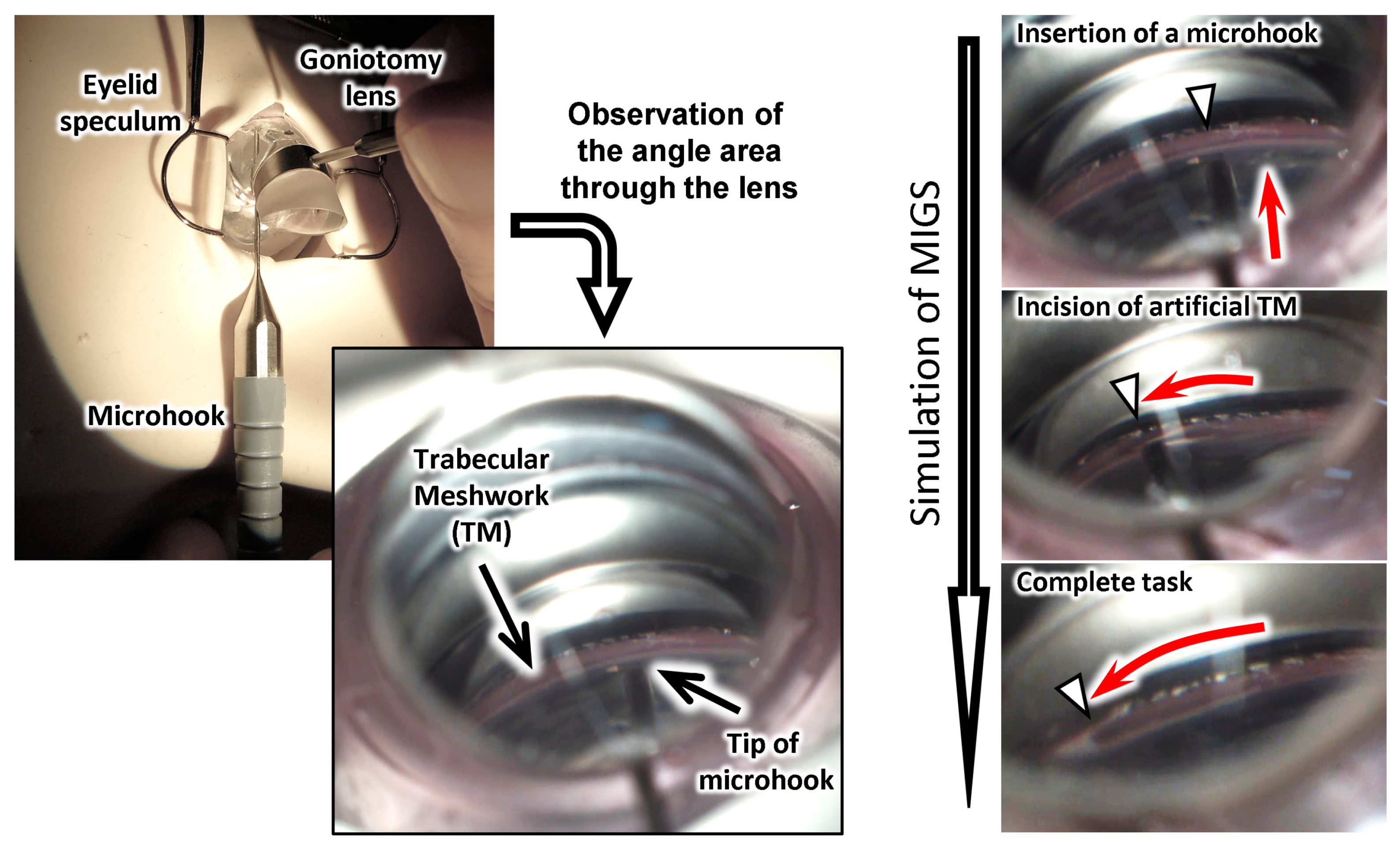 Micromachines 10 00297 g010
