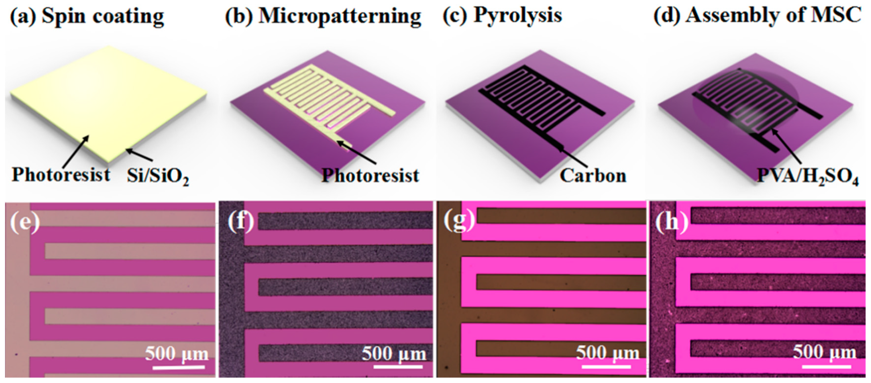 Micromachines 10 00307 g001