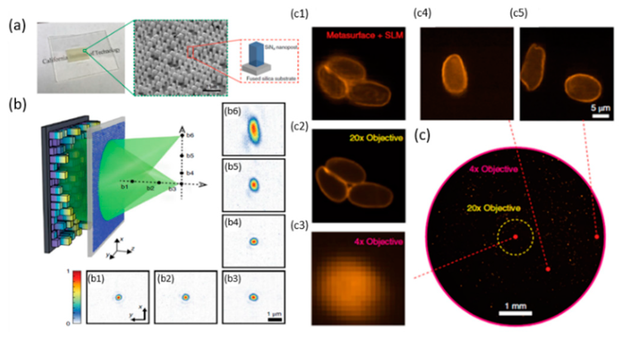 Micromachines 10 00310 g002