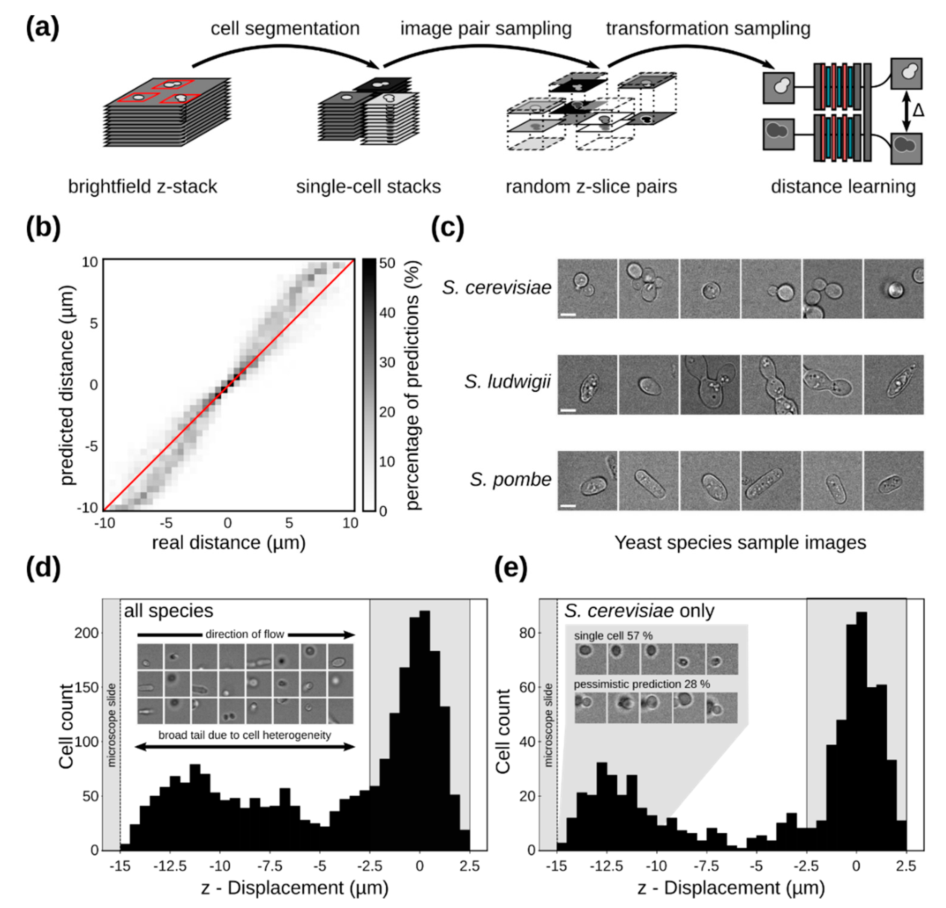 Micromachines 10 00311 g006