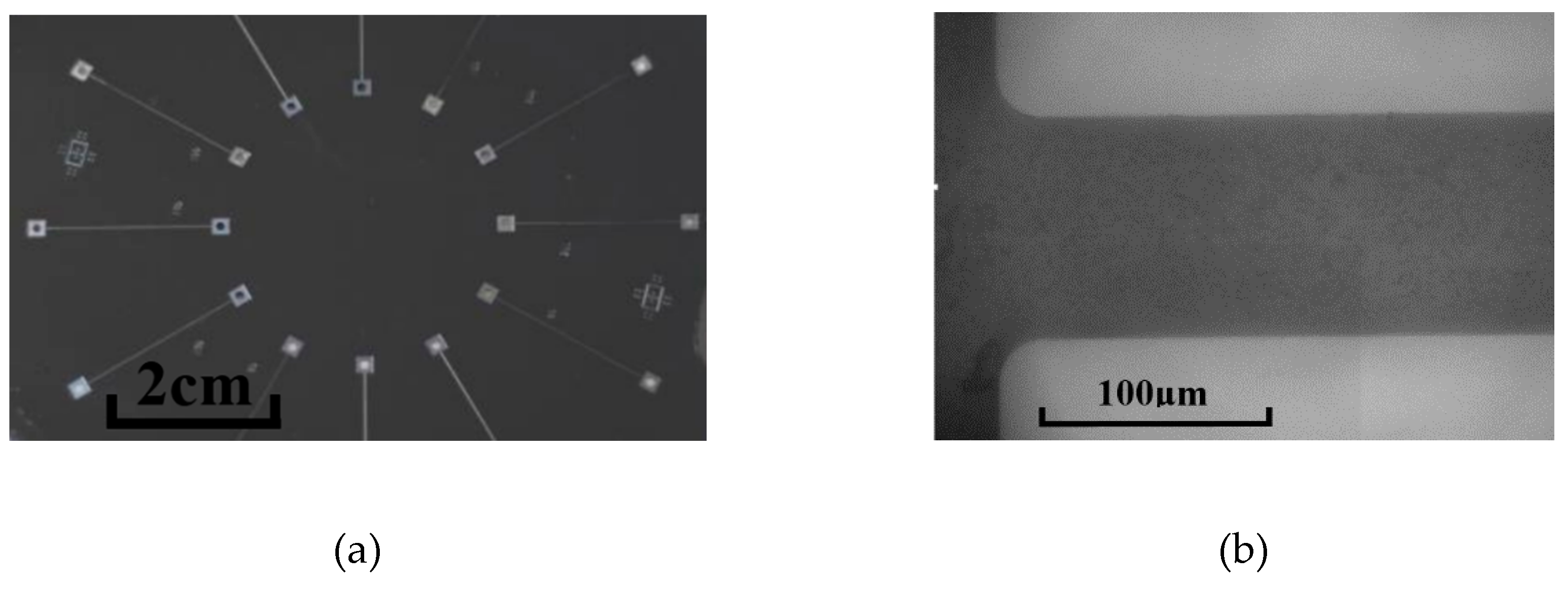 Micromachines 10 00317 g002 Micromachines 10 00317 g002