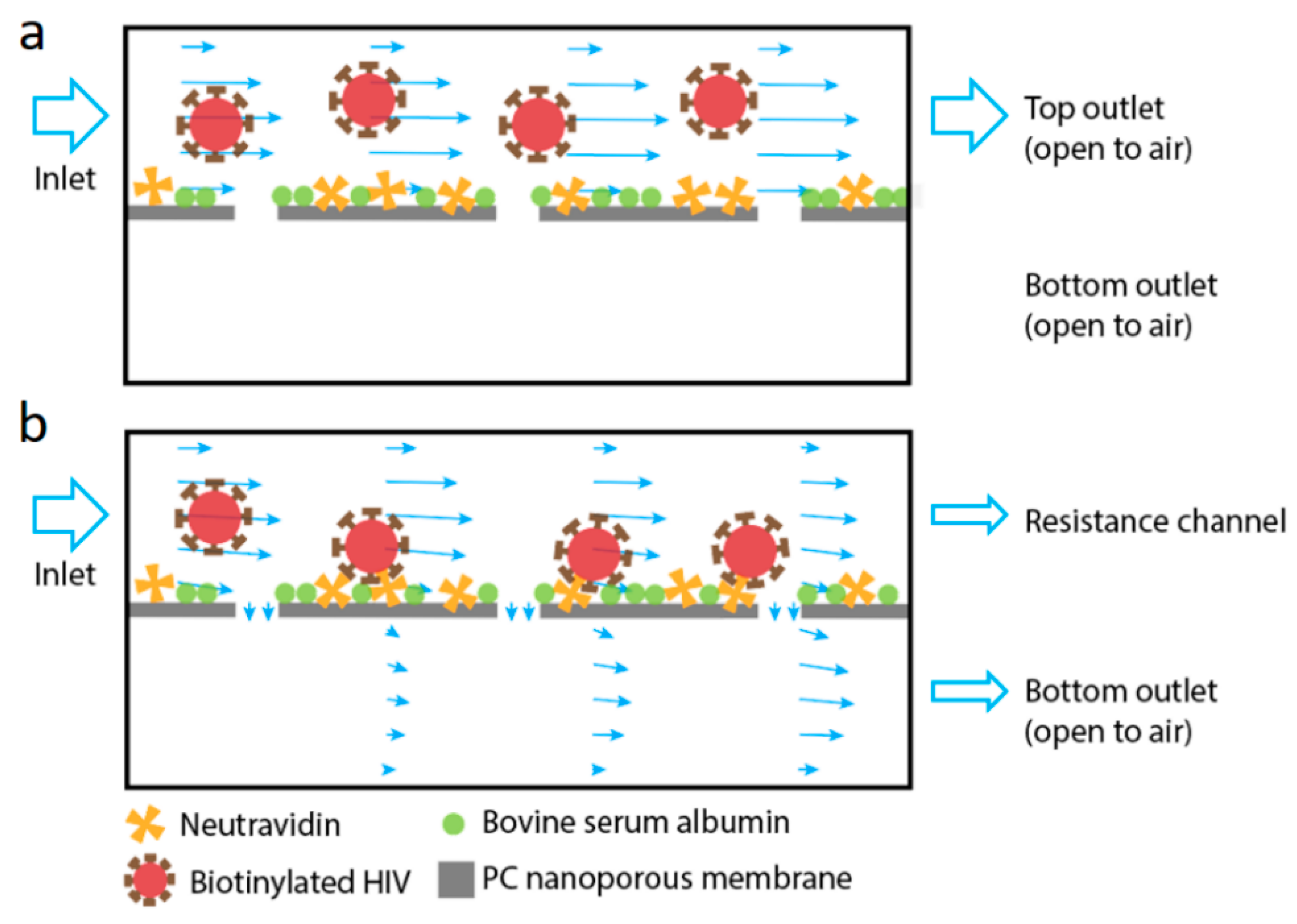 Micromachines 10 00320 g001