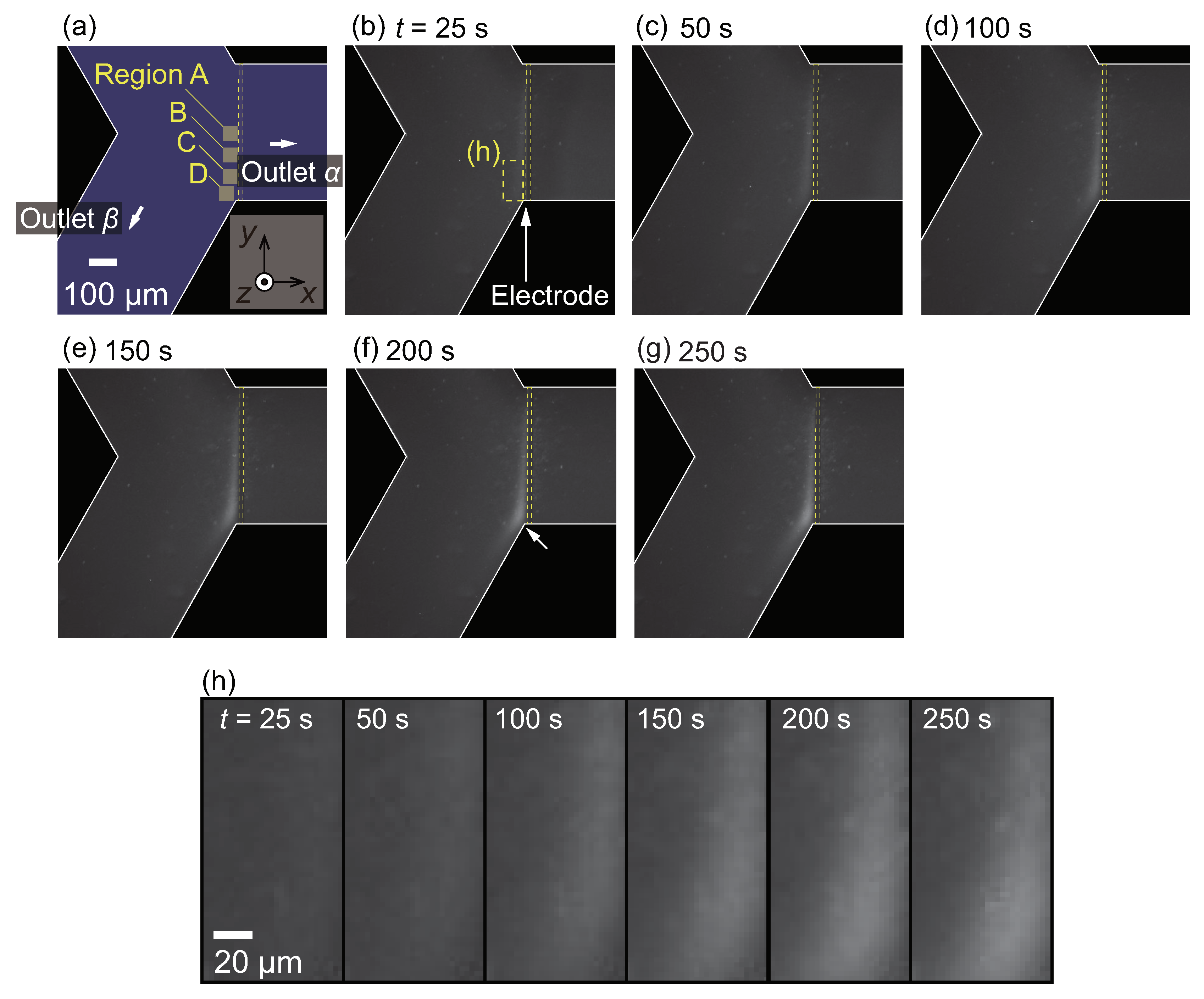 Micromachines 10 00321 g005