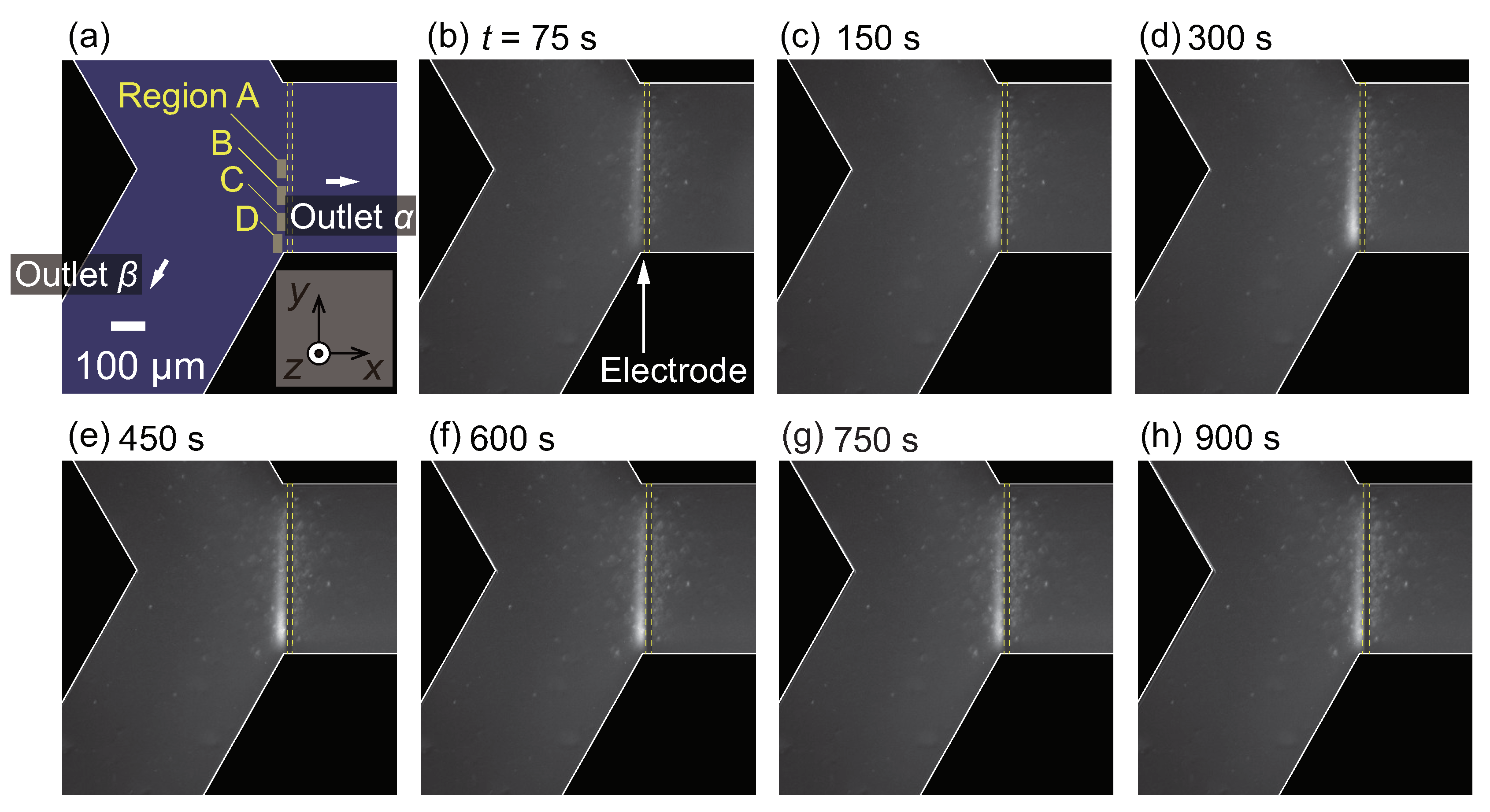 Micromachines 10 00321 g007