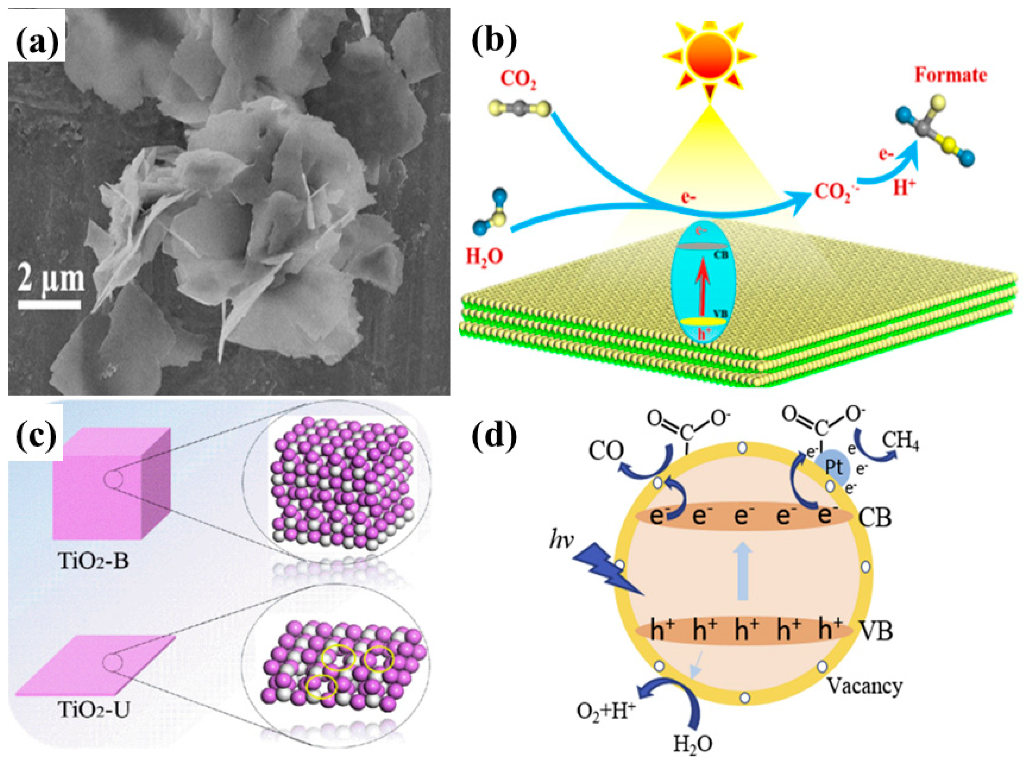 Micromachines 10 00326 g009