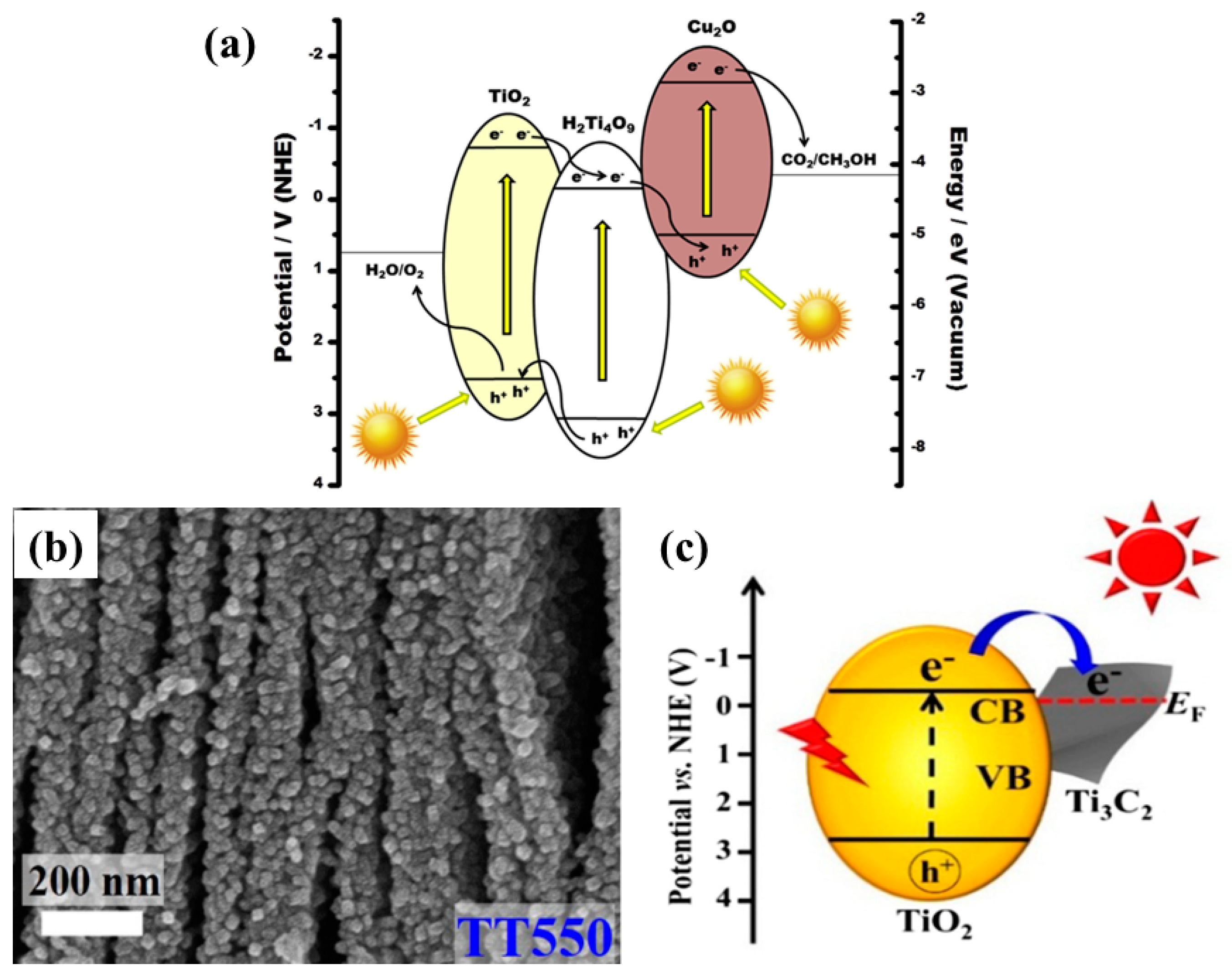 Micromachines 10 00326 g010