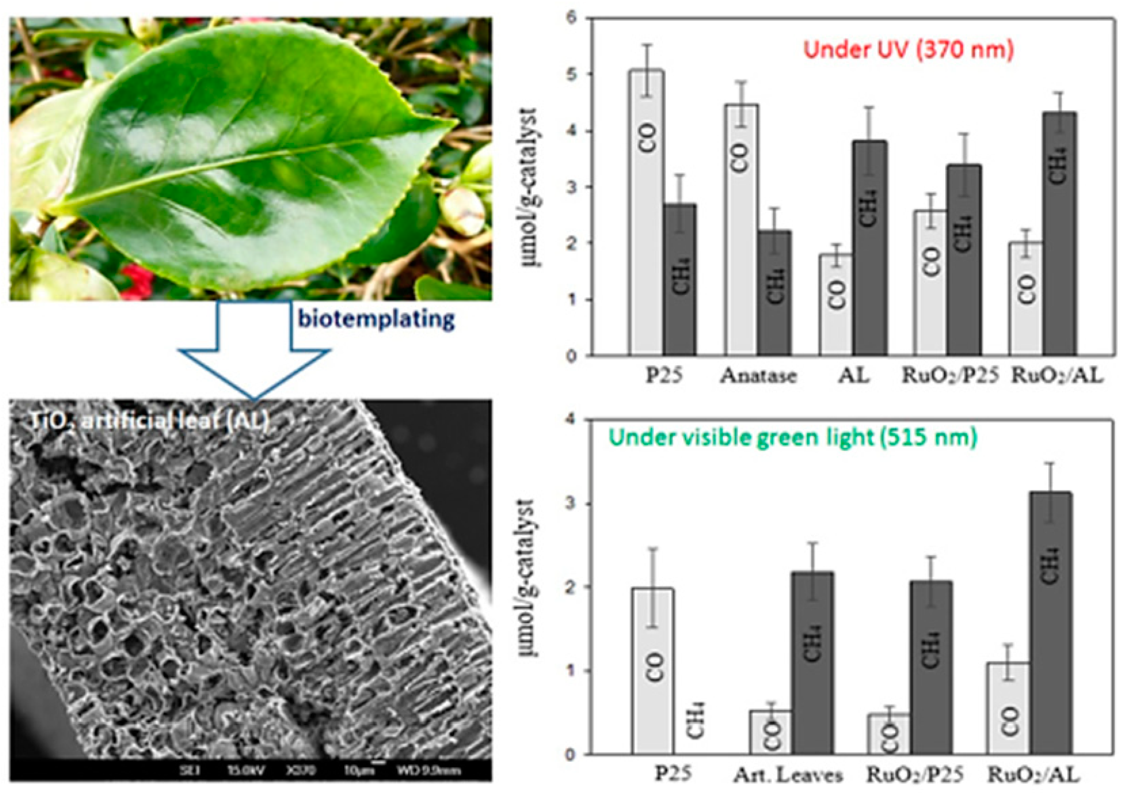 Micromachines 10 00326 g012