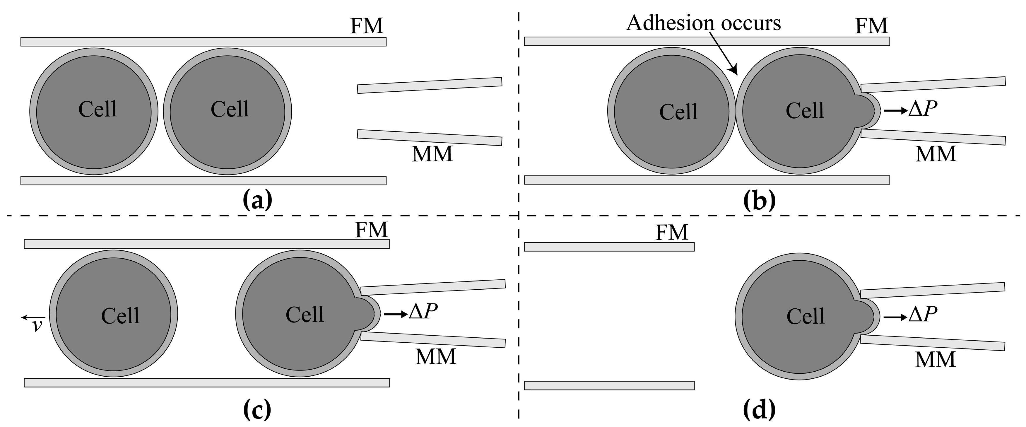 Micromachines 10 00348 g001
