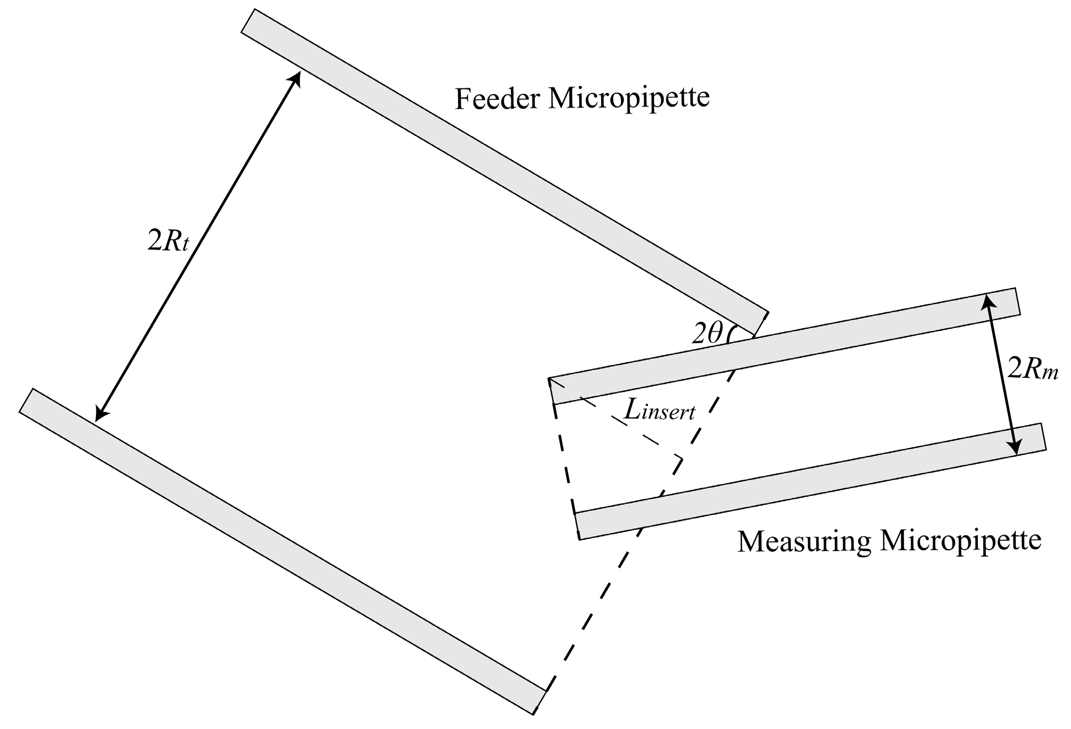 Micromachines 10 00348 g002