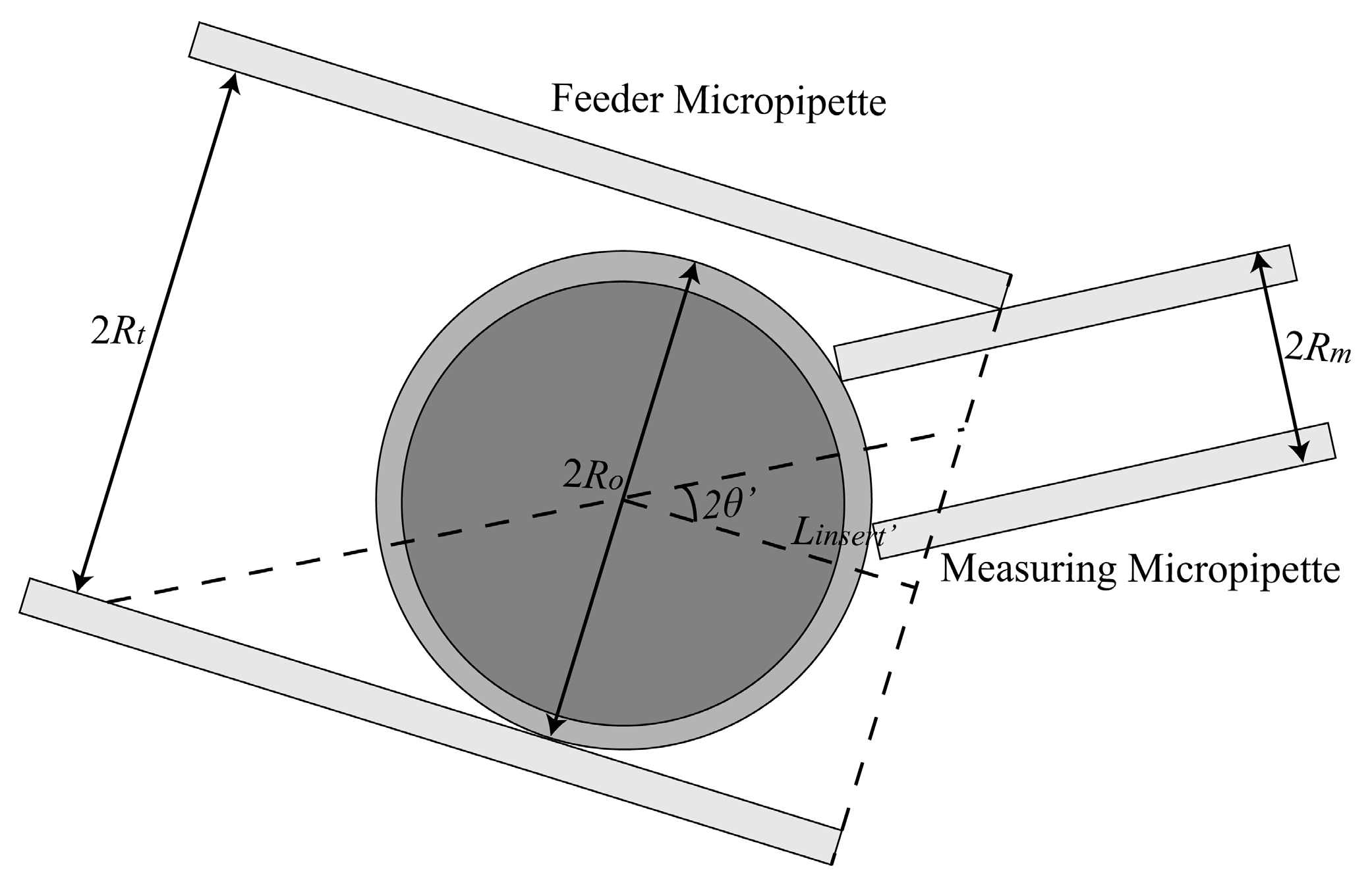 Micromachines 10 00348 g003