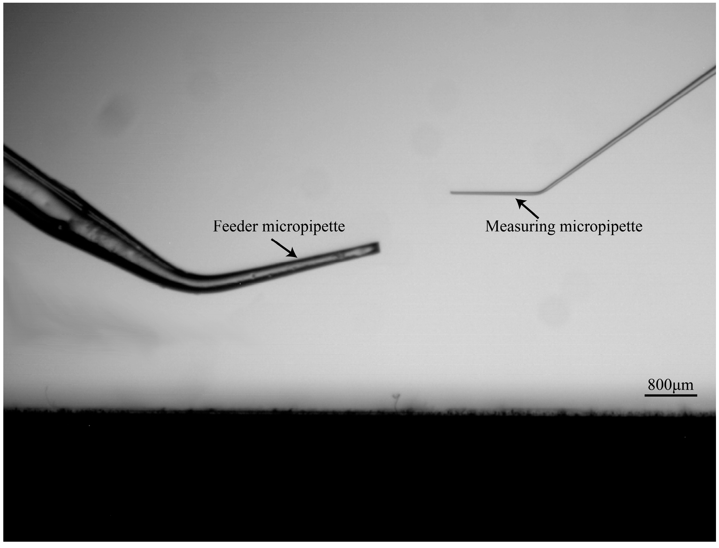 Micromachines 10 00348 g004