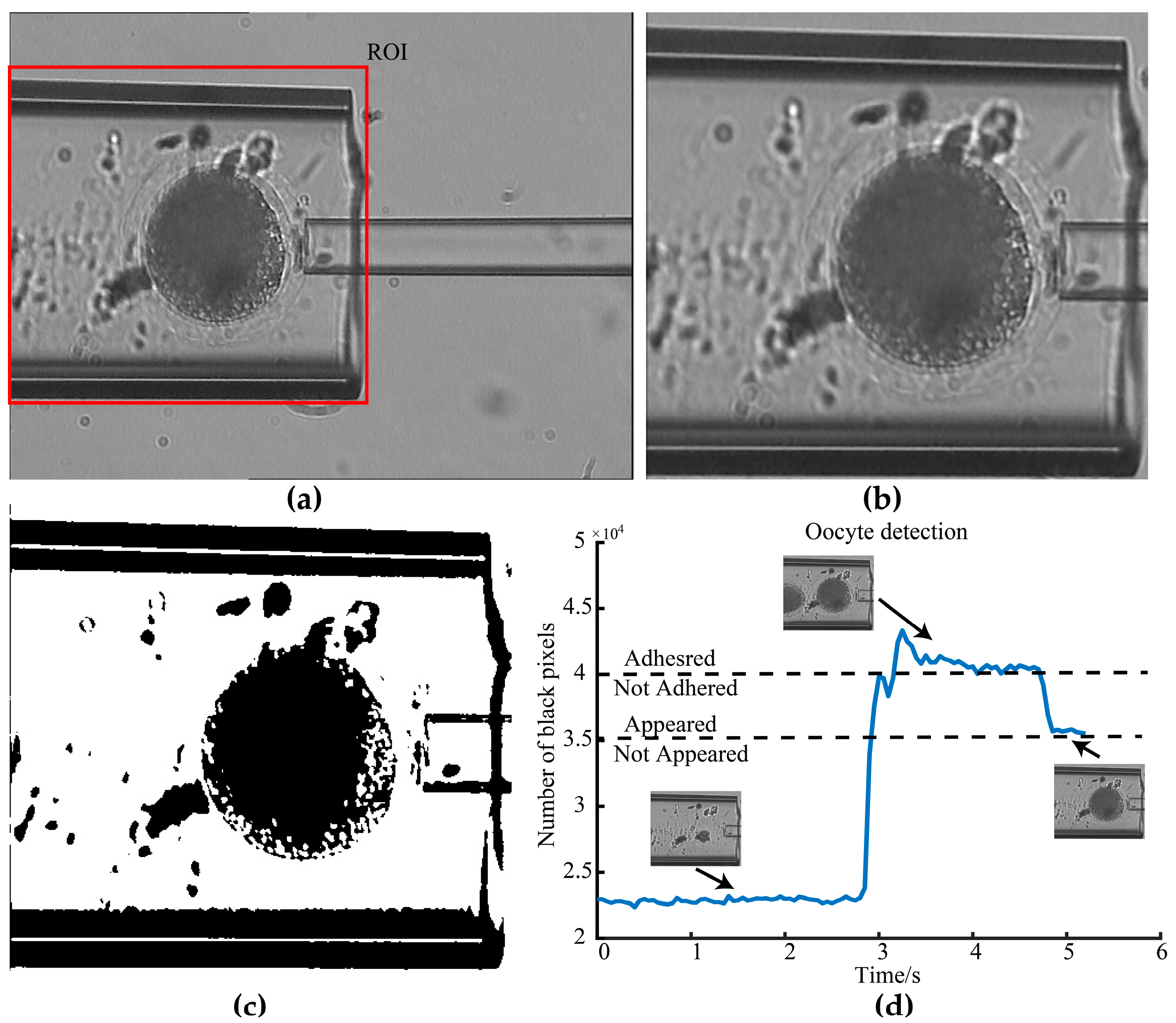 Micromachines 10 00348 g006