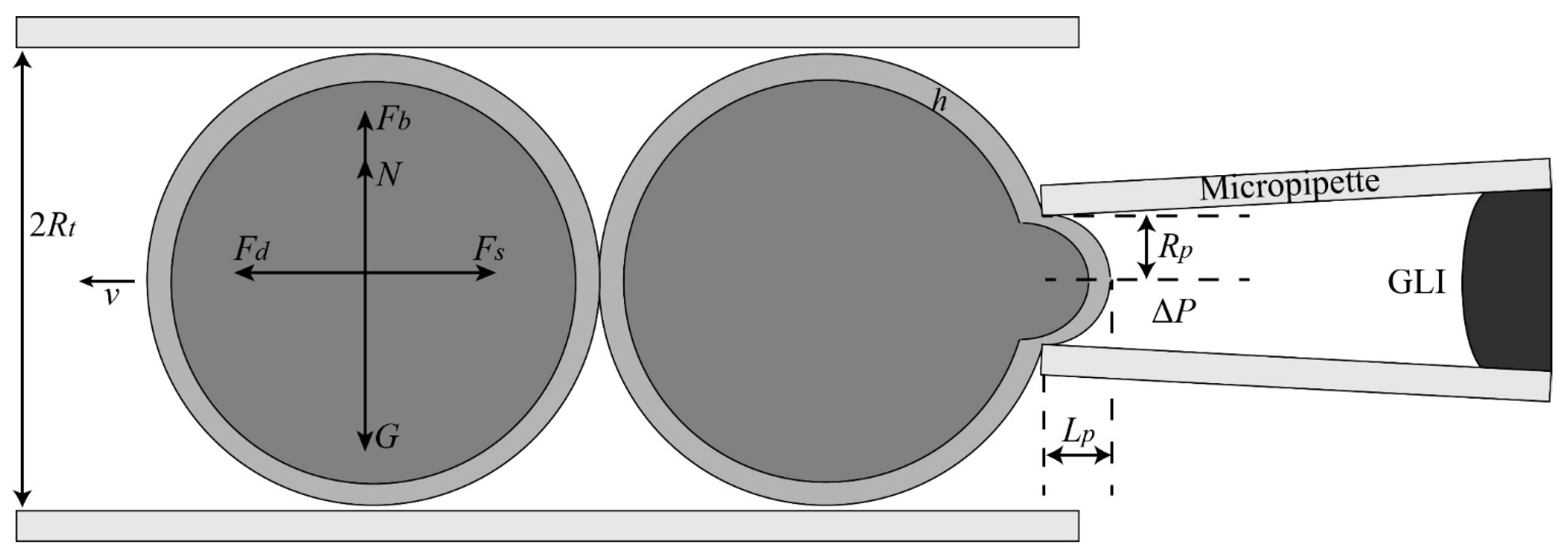 Micromachines 10 00348 g007