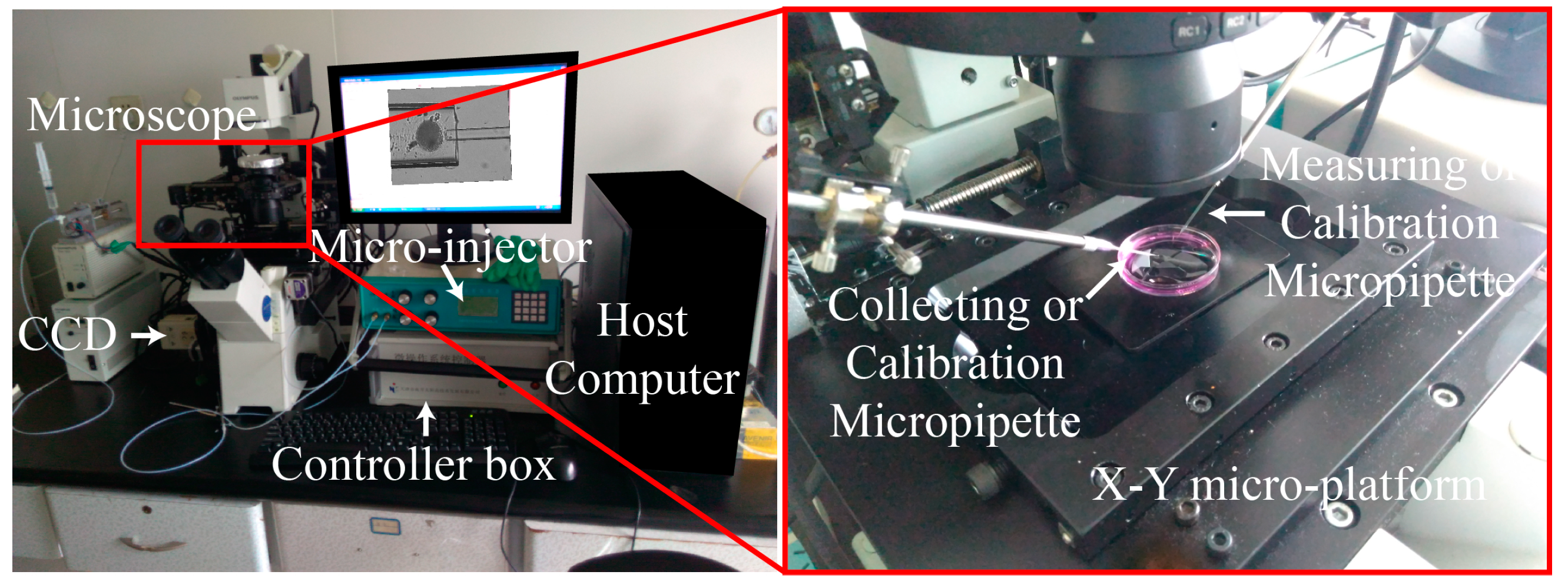 Micromachines 10 00348 g011