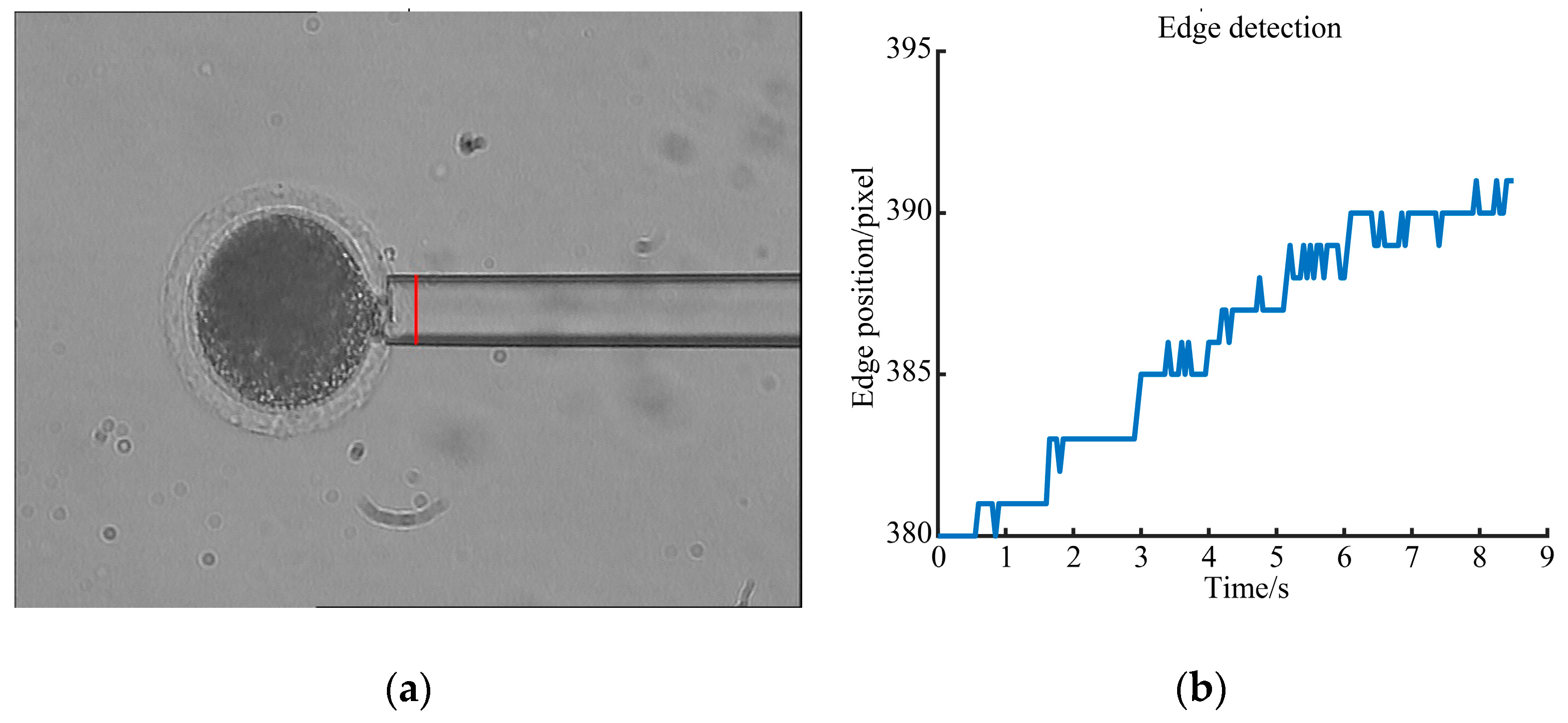 Micromachines 10 00348 g012