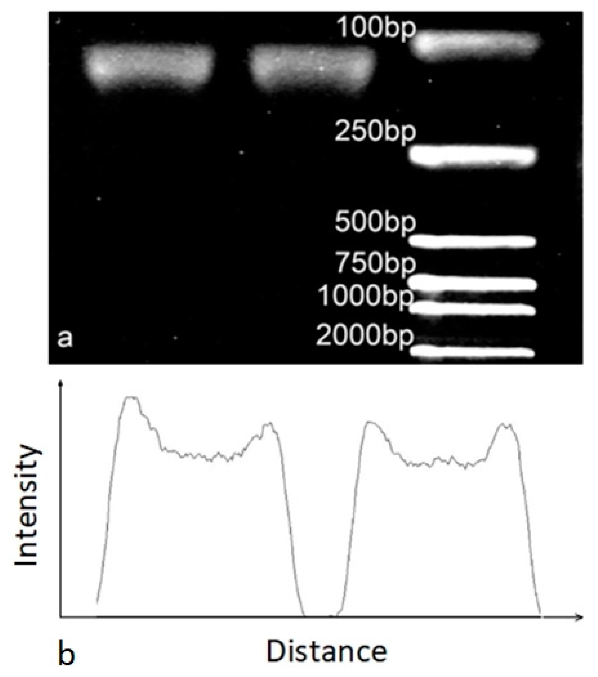 Micromachines 10 00350 g007