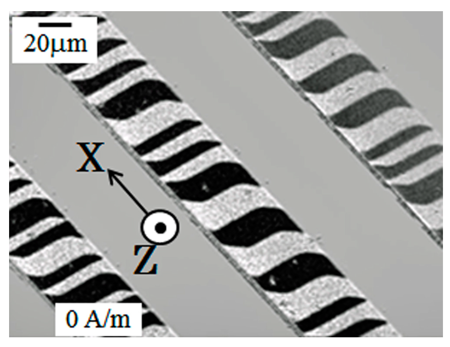 Micromachines 10 00355 g003