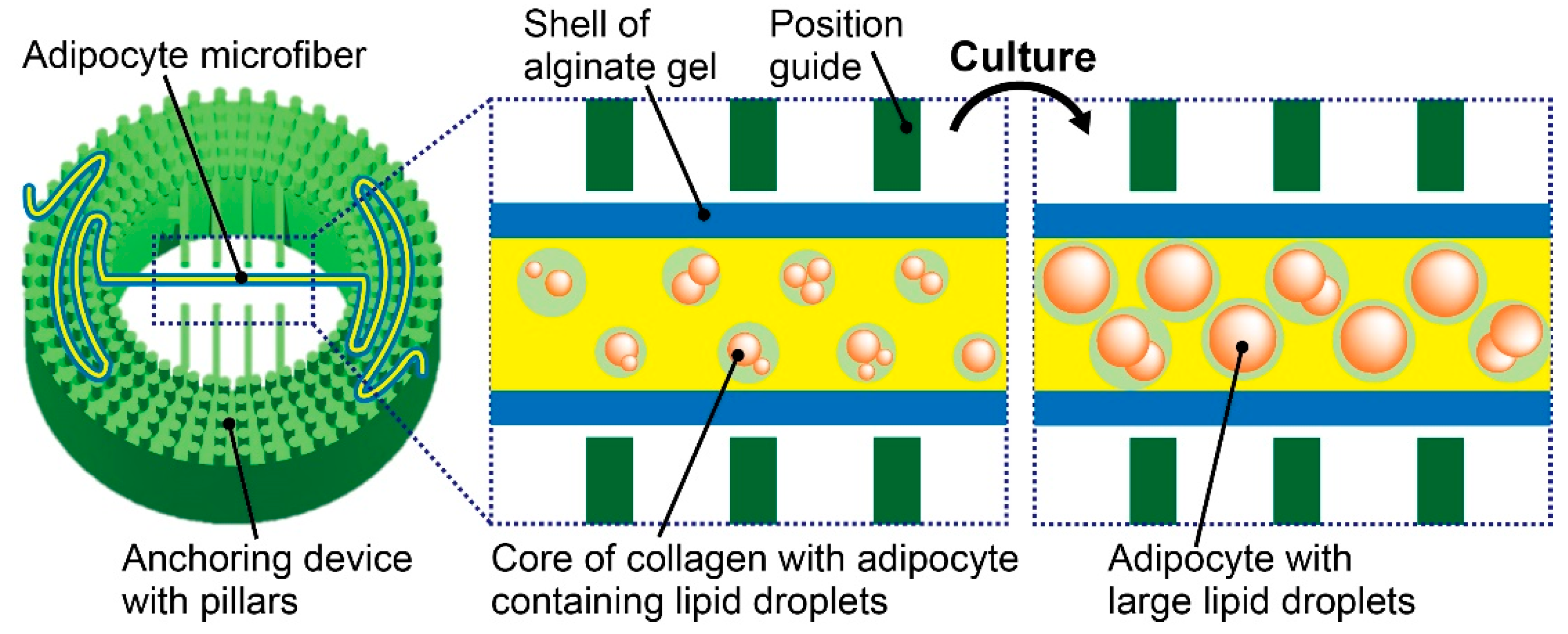 Micromachines 10 00358 g001