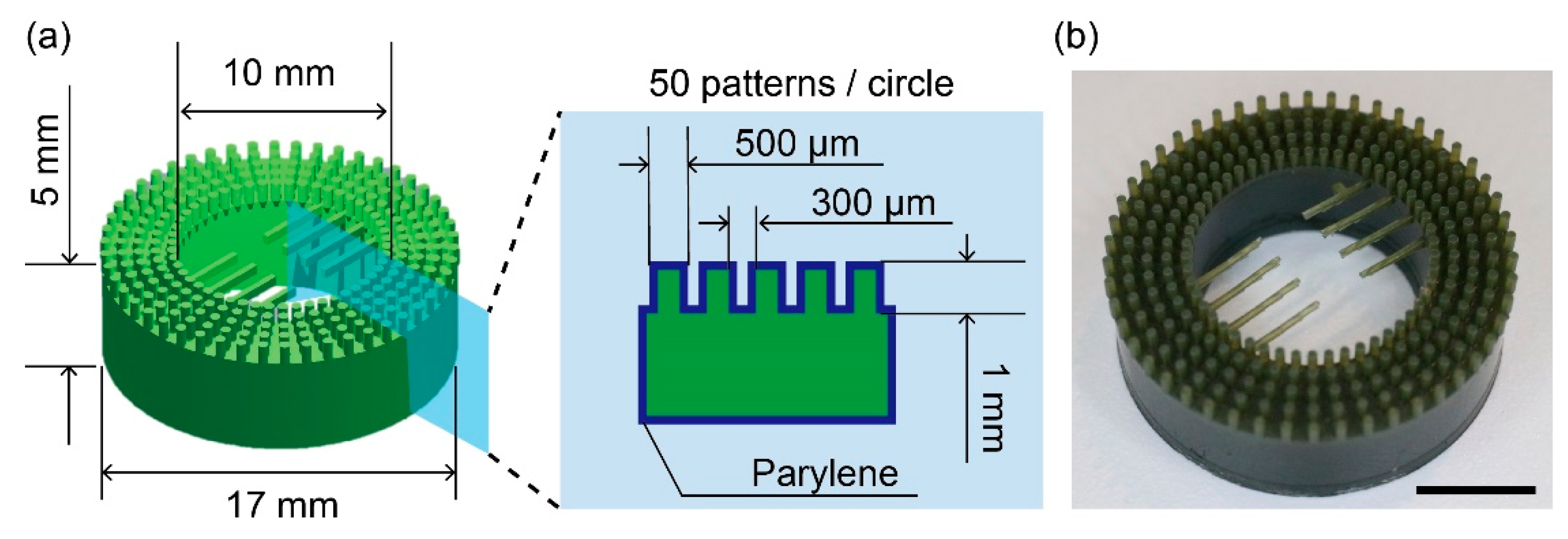 Micromachines 10 00358 g002