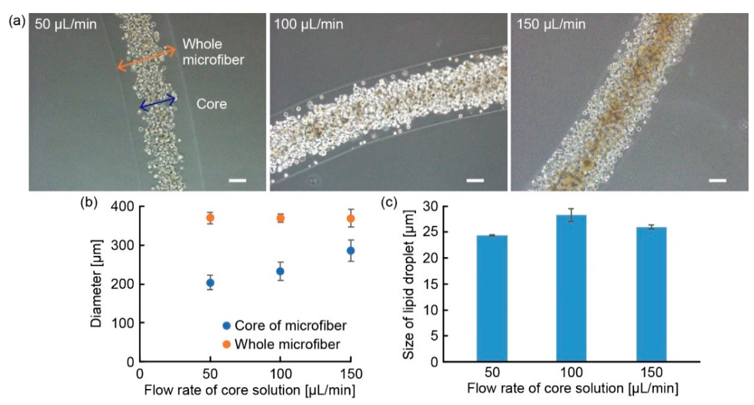 Micromachines 10 00358 g006