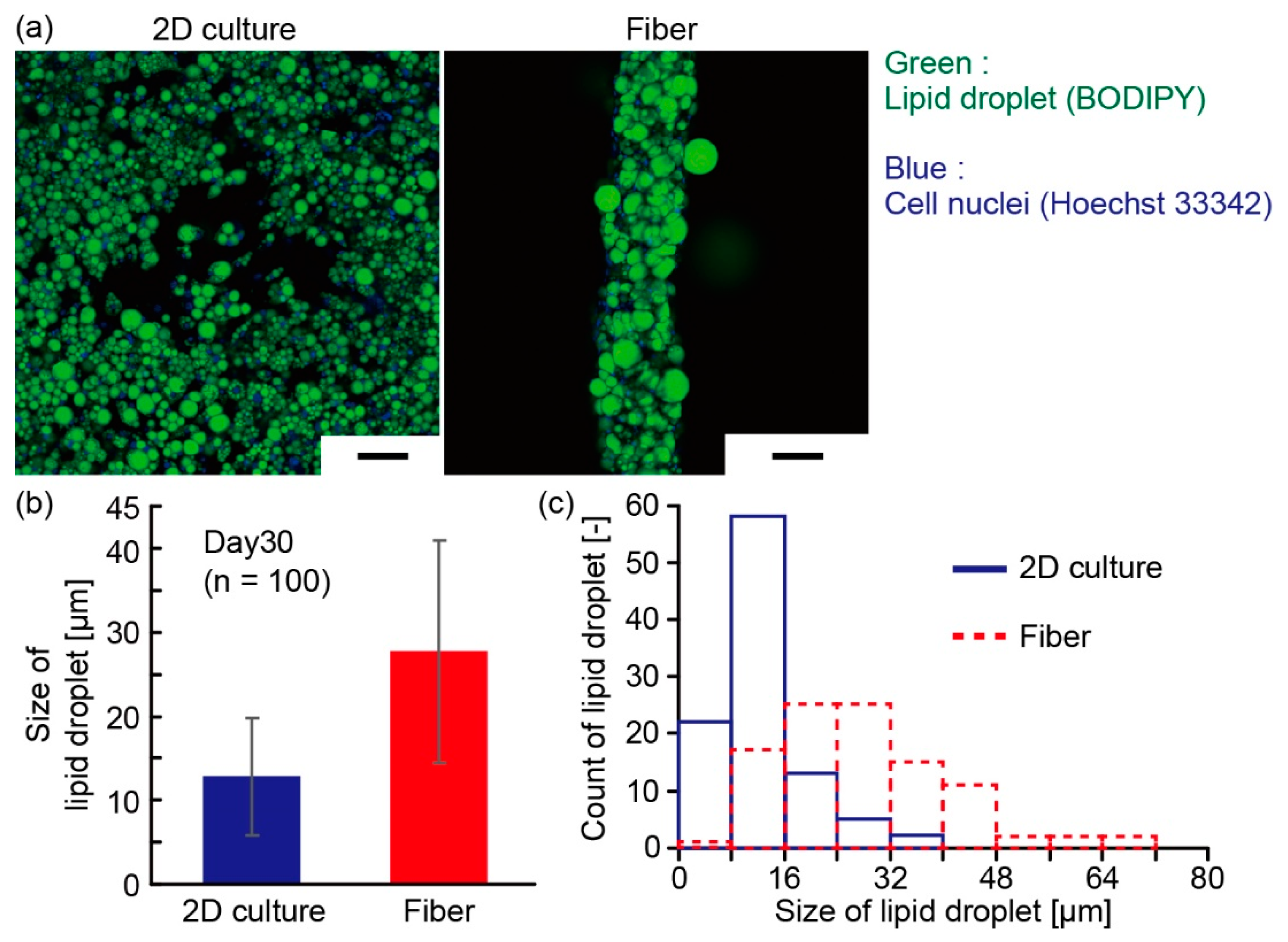 Micromachines 10 00358 g007