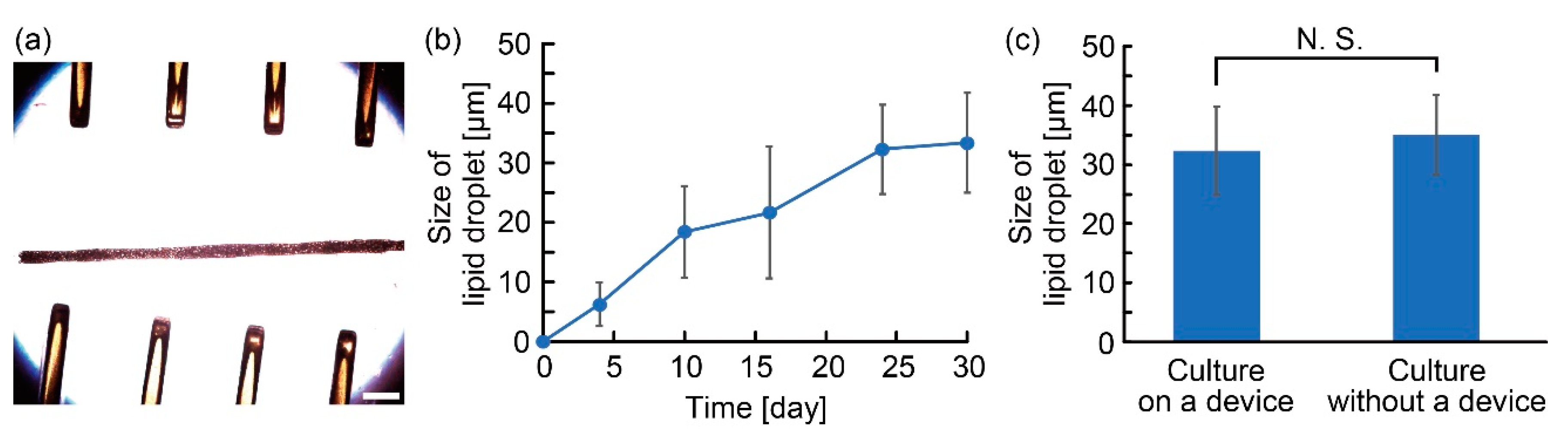 Micromachines 10 00358 g008
