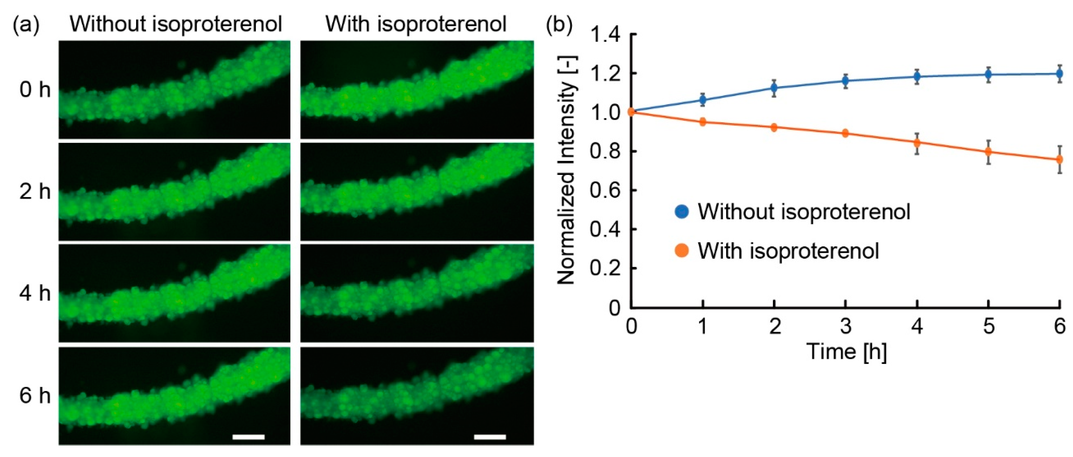 Micromachines 10 00358 g010