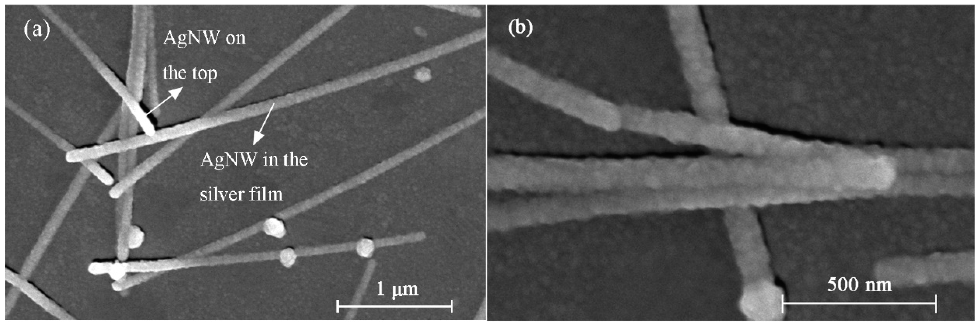 Micromachines 10 00372 g002