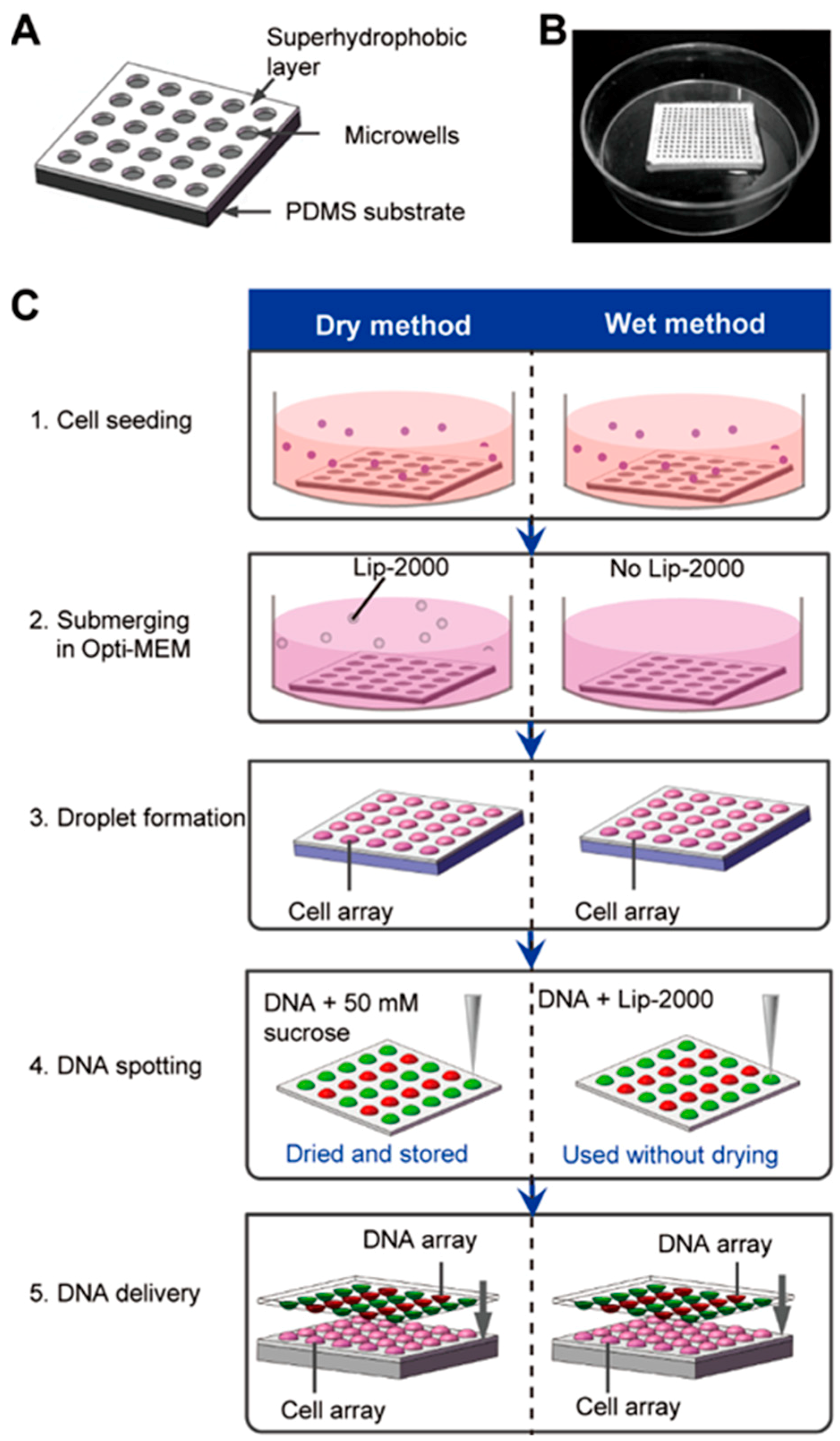 Micromachines 10 00387 g001