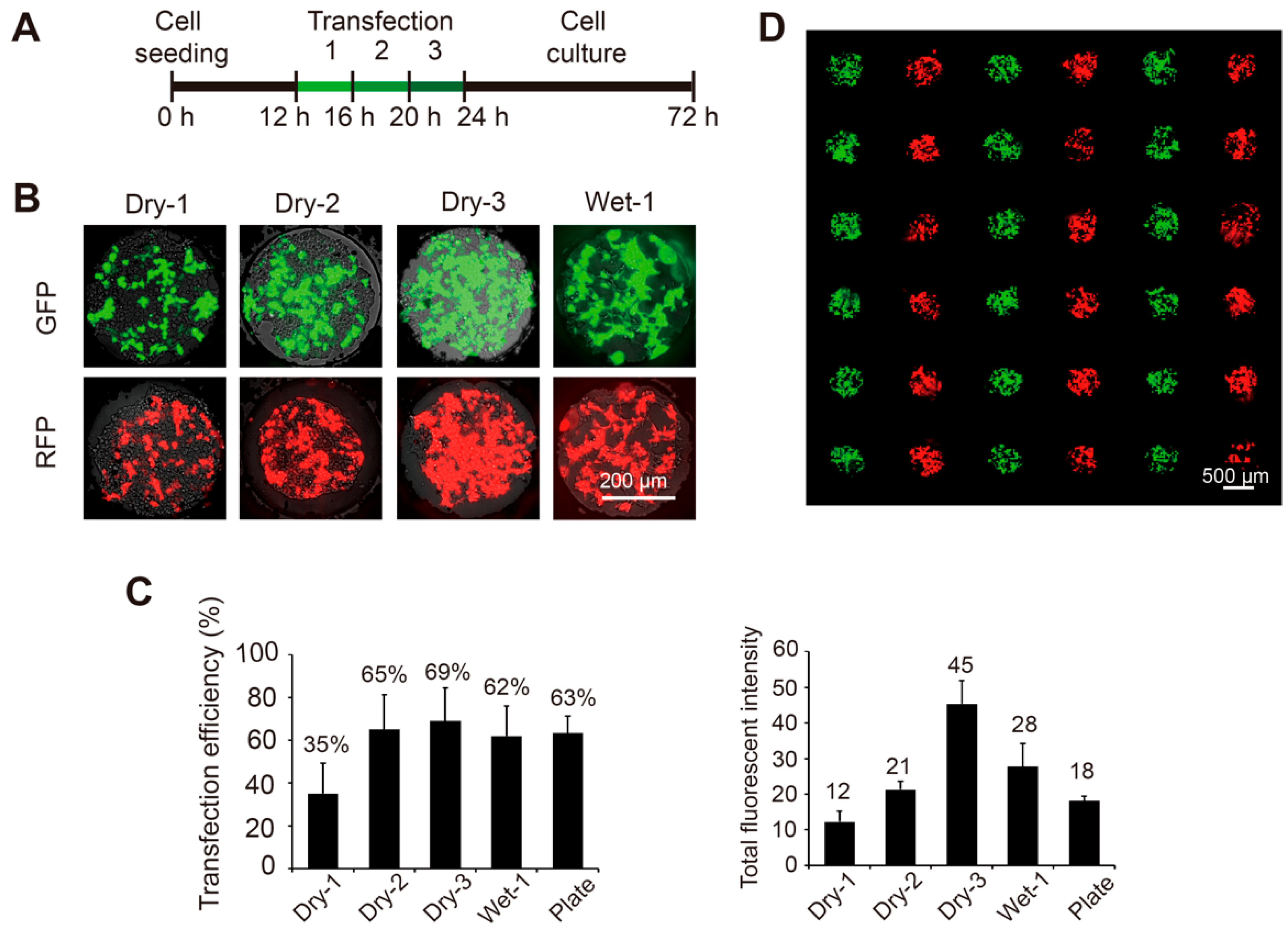 Micromachines 10 00387 g002