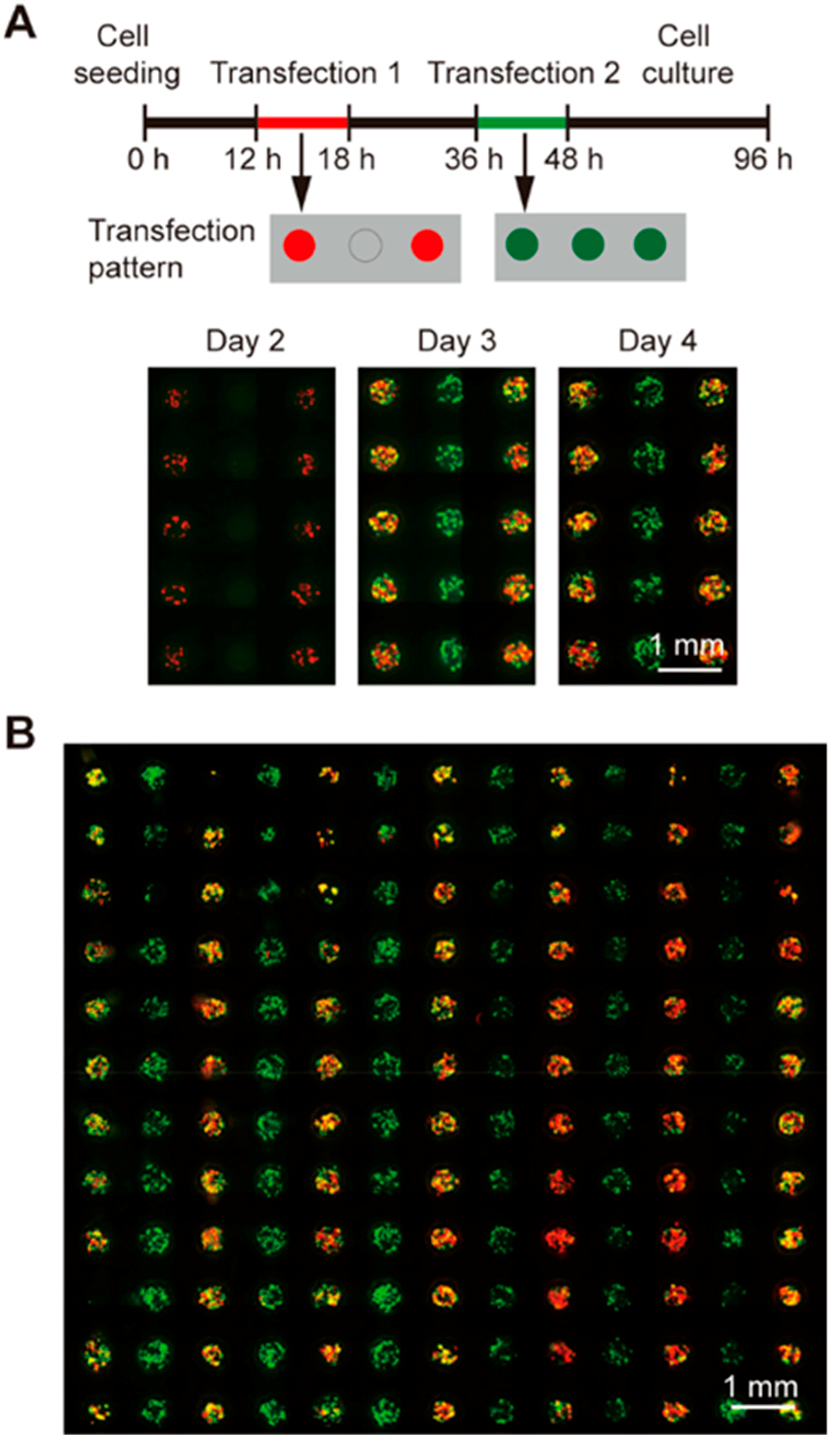 Micromachines 10 00387 g003