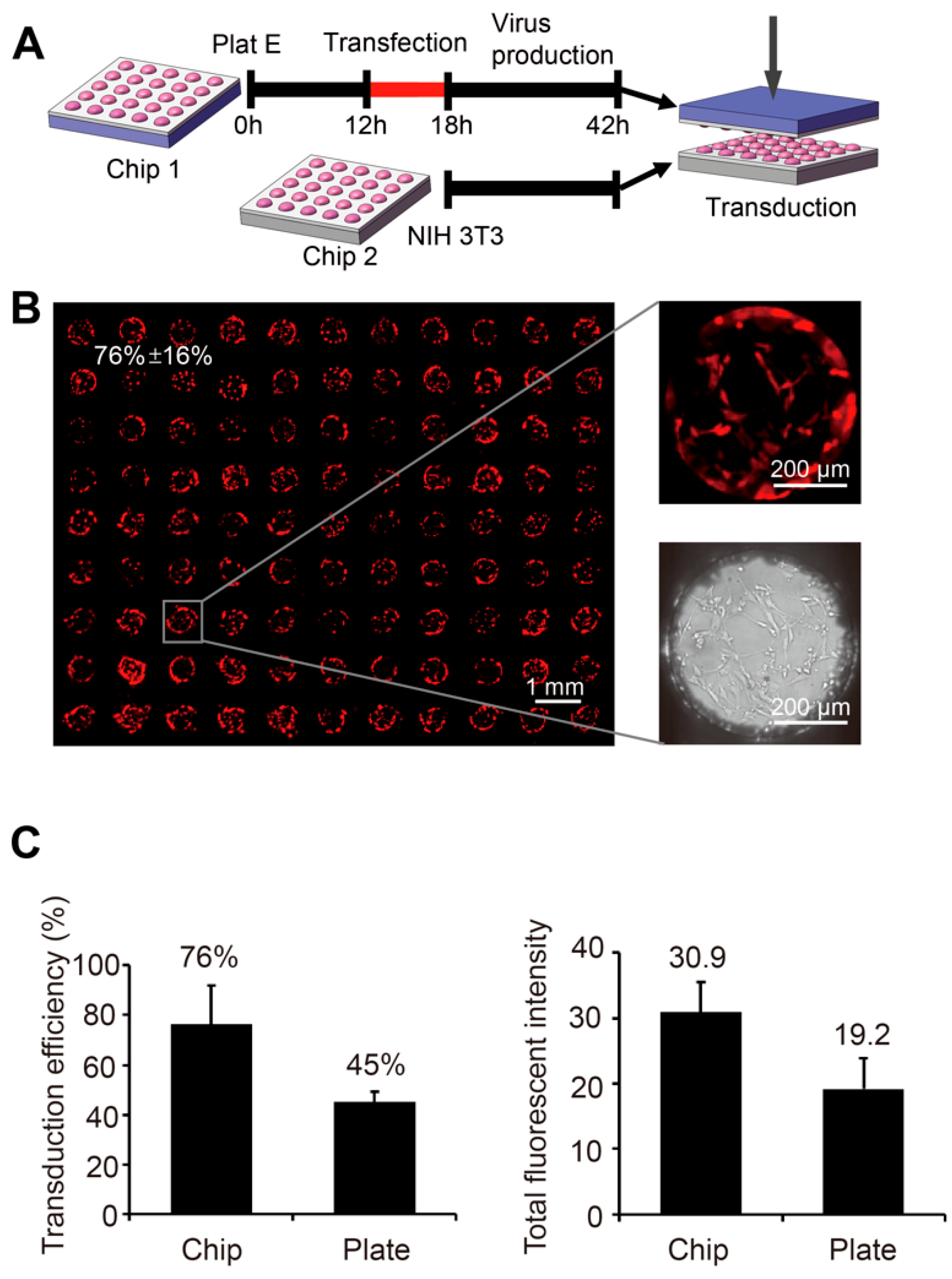 Micromachines 10 00387 g004