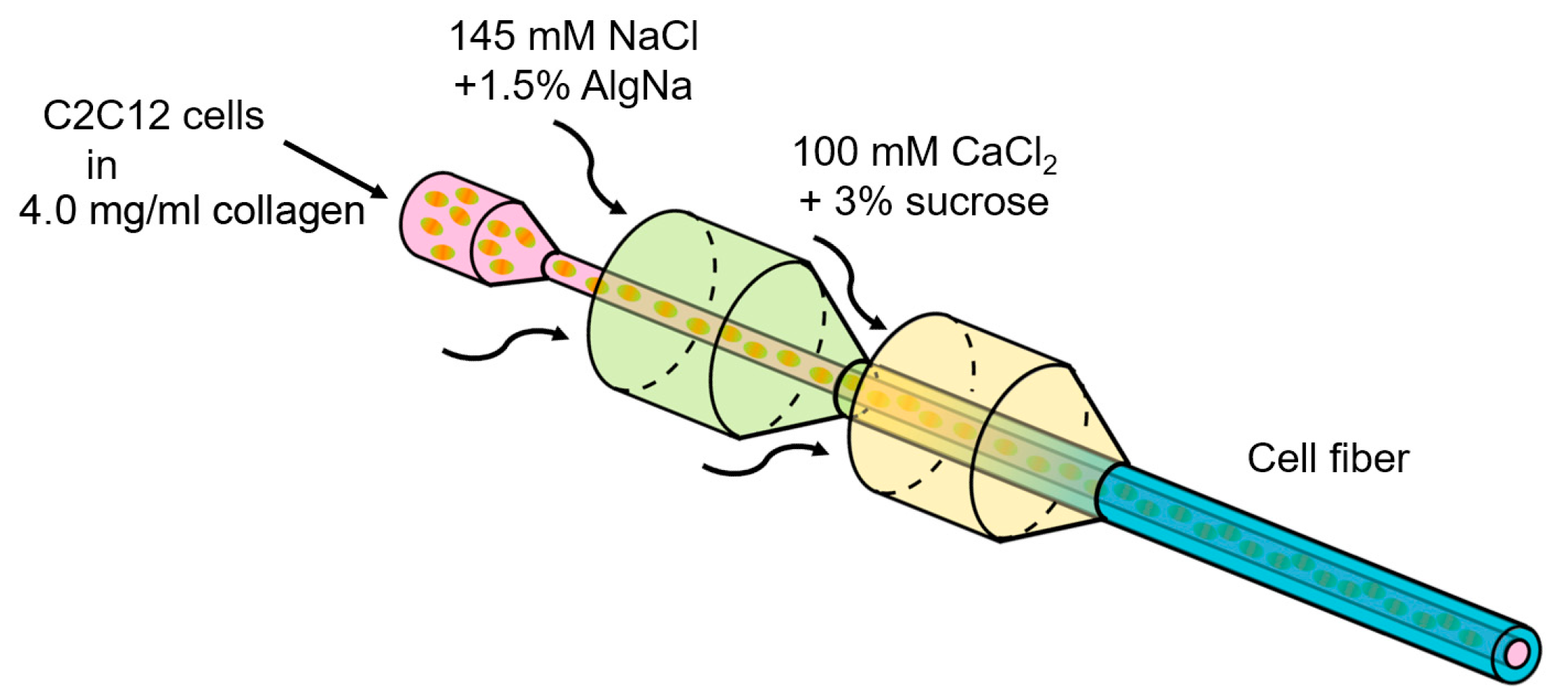 Micromachines 10 00399 g001