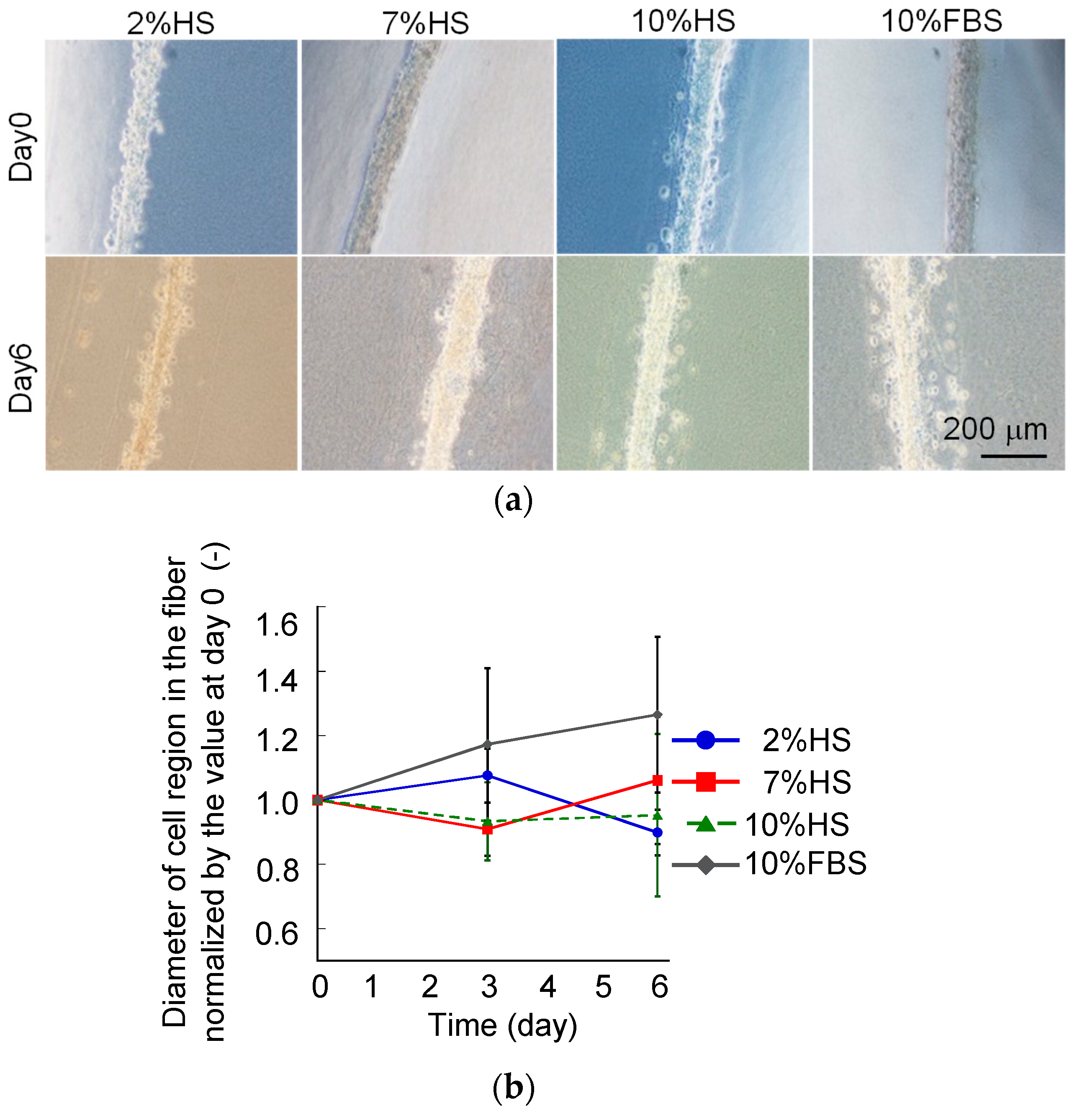 Micromachines 10 00399 g002