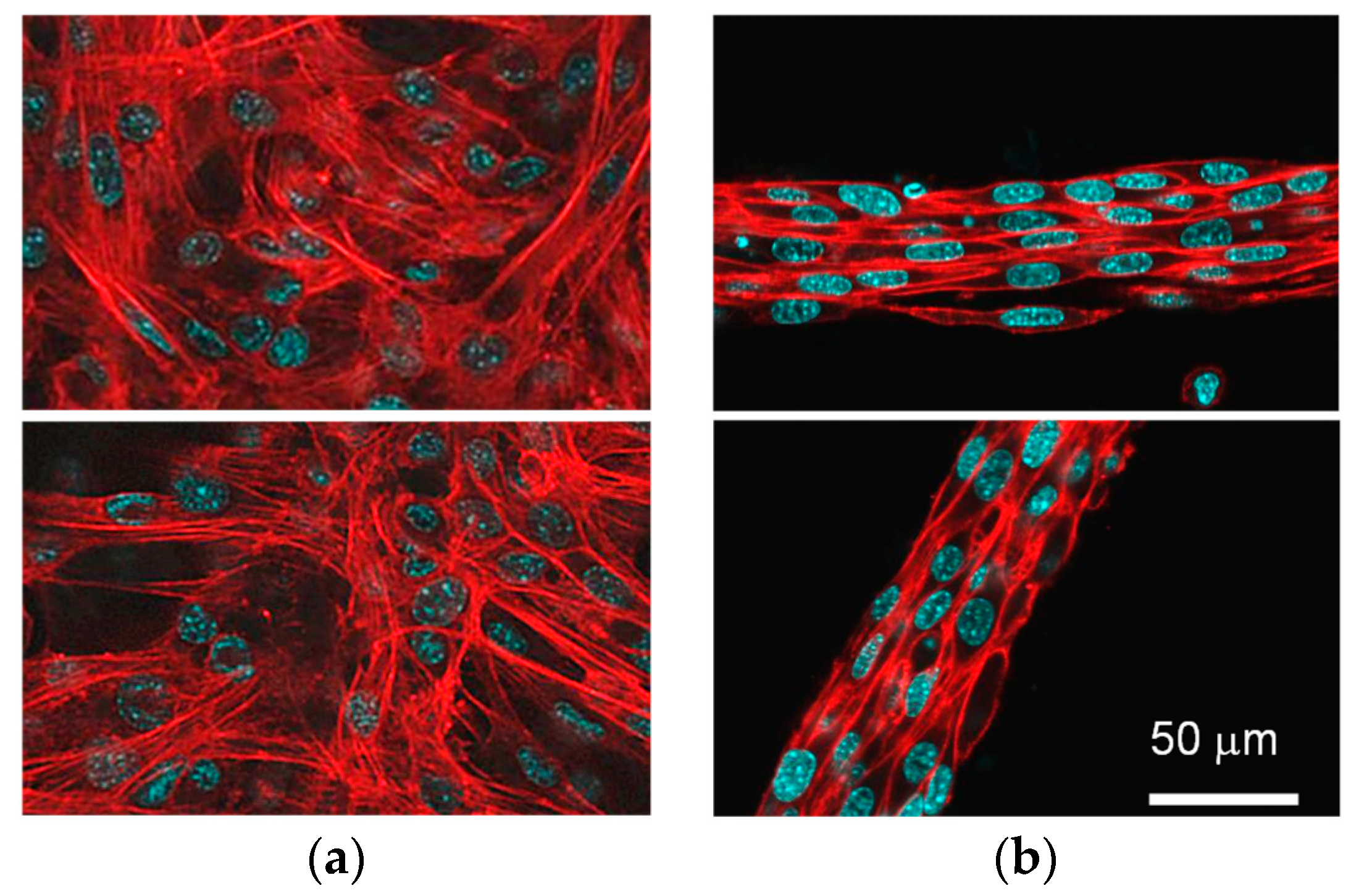 Micromachines 10 00399 g004