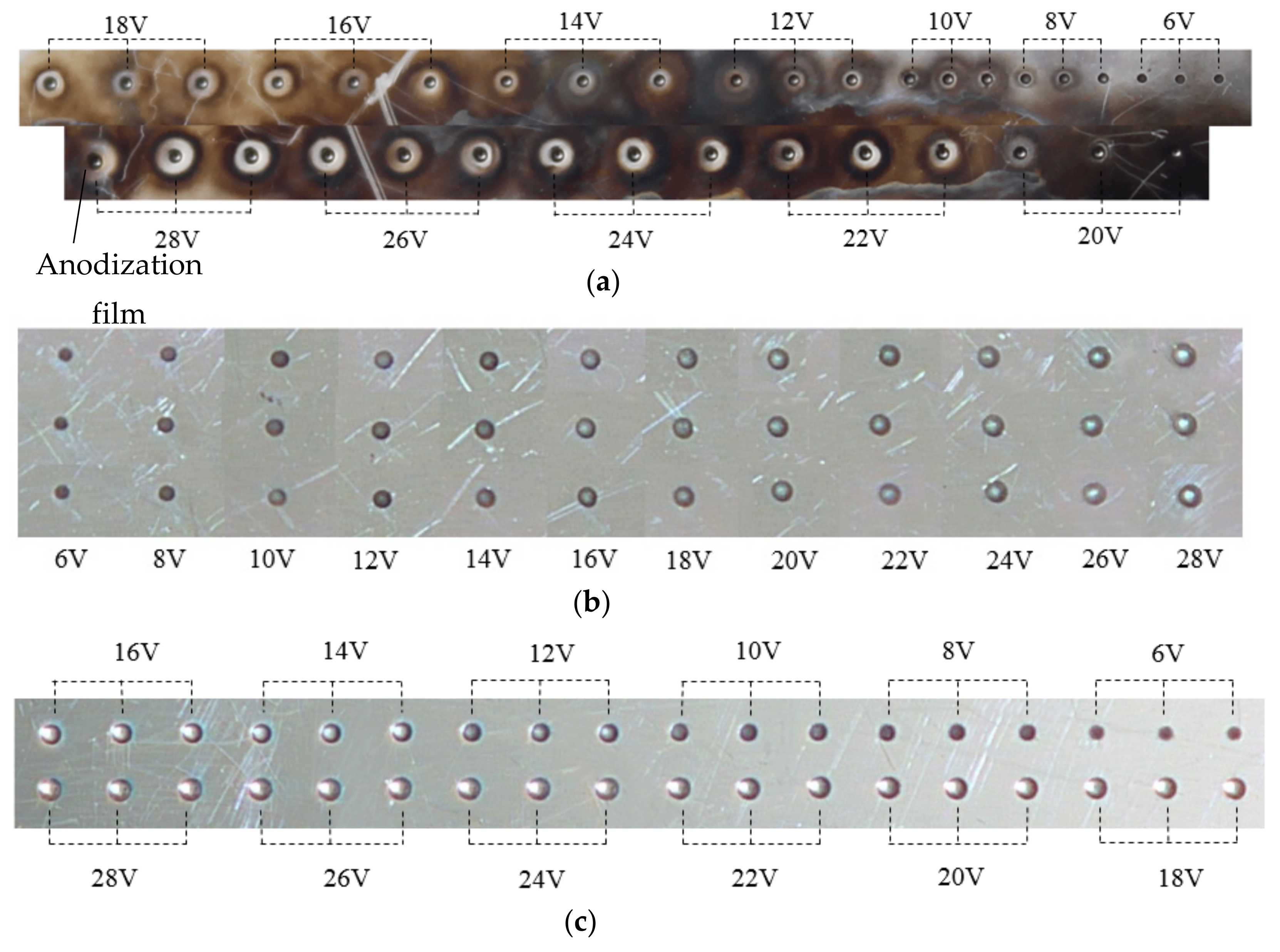 Micromachines 10 00404 g010