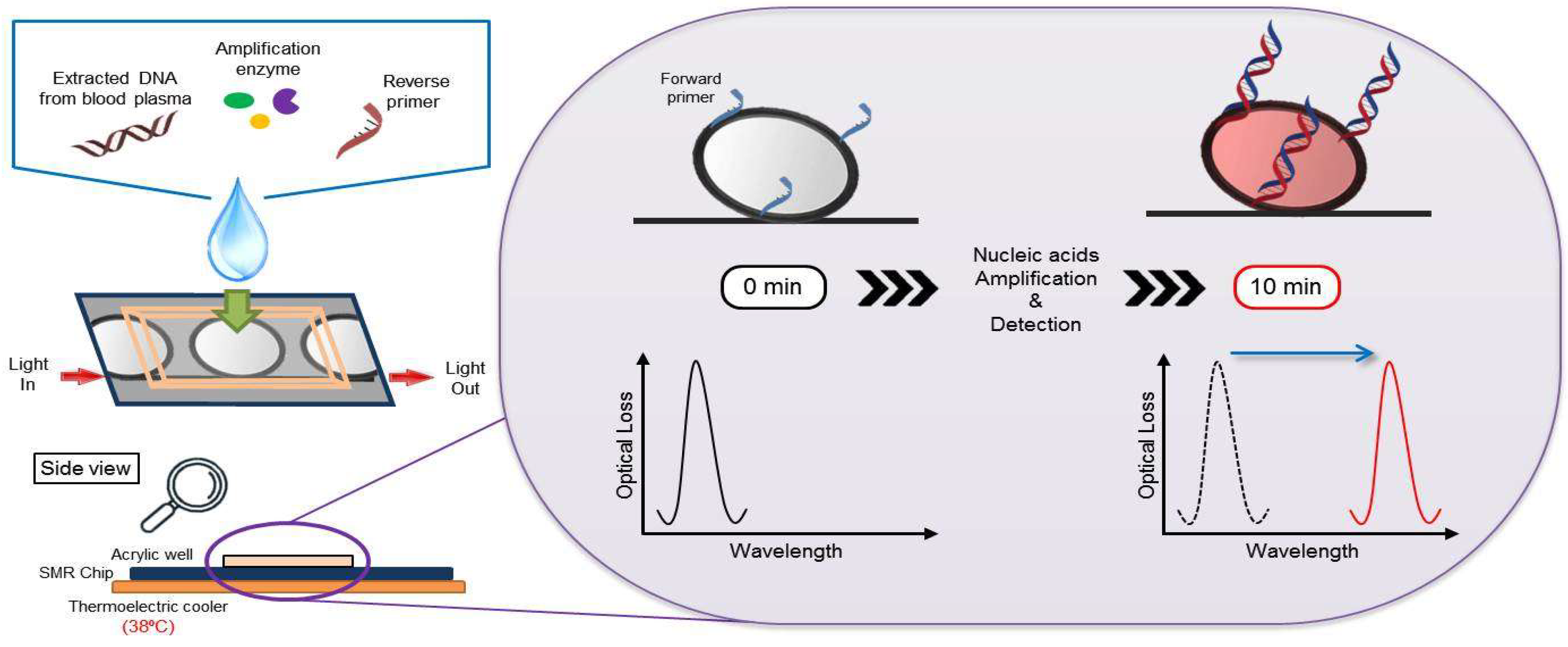 Micromachines 10 00427 g001
