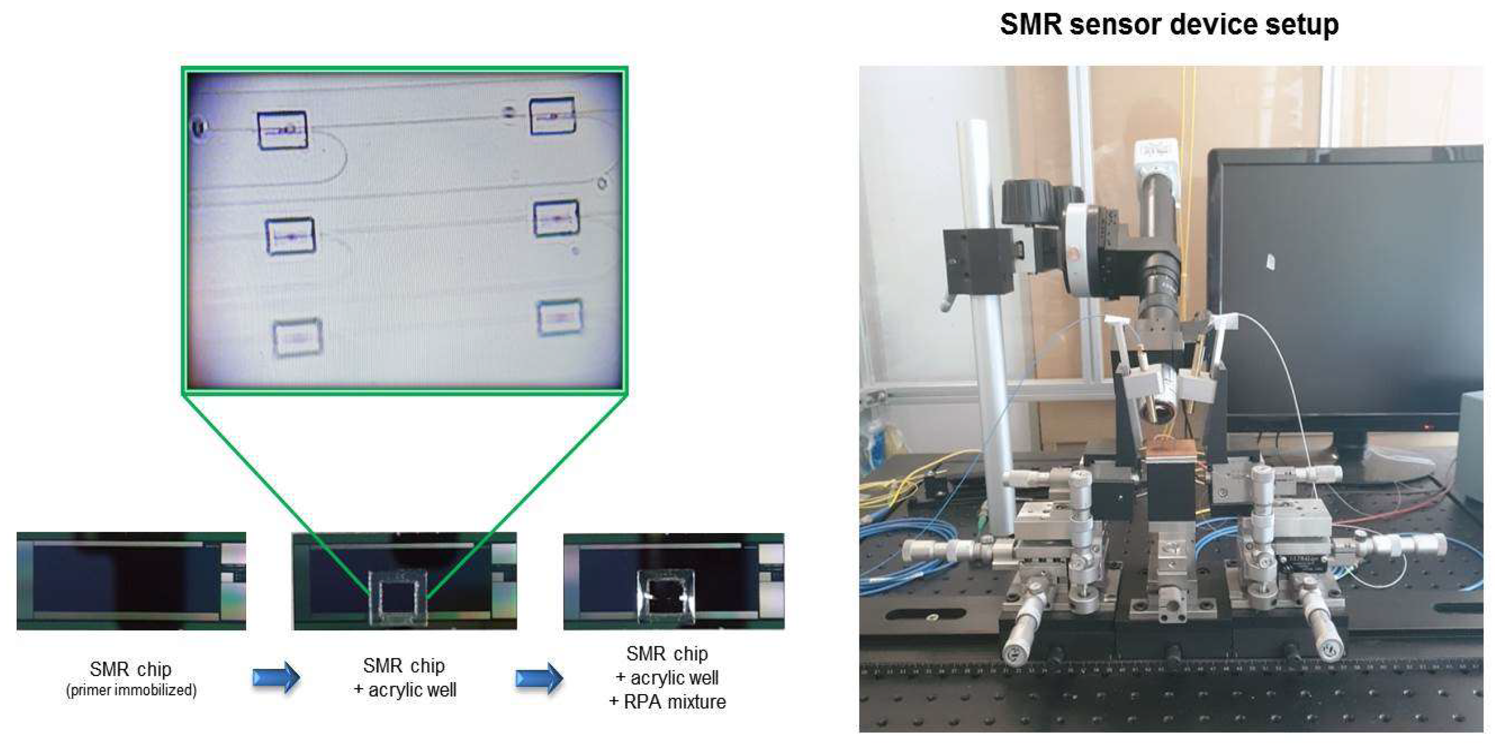 Micromachines 10 00427 g002