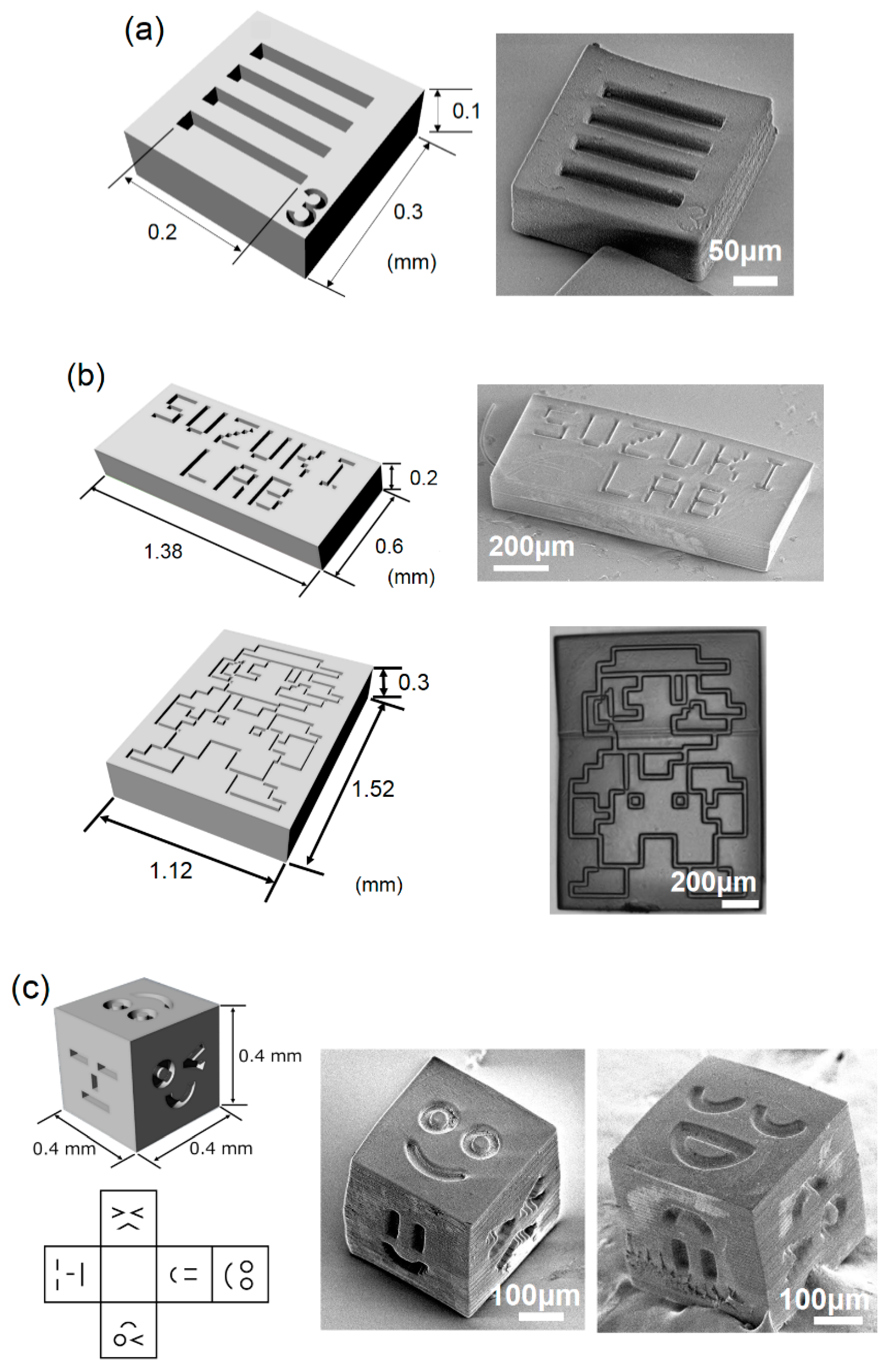 Micromachines 10 00428 g002